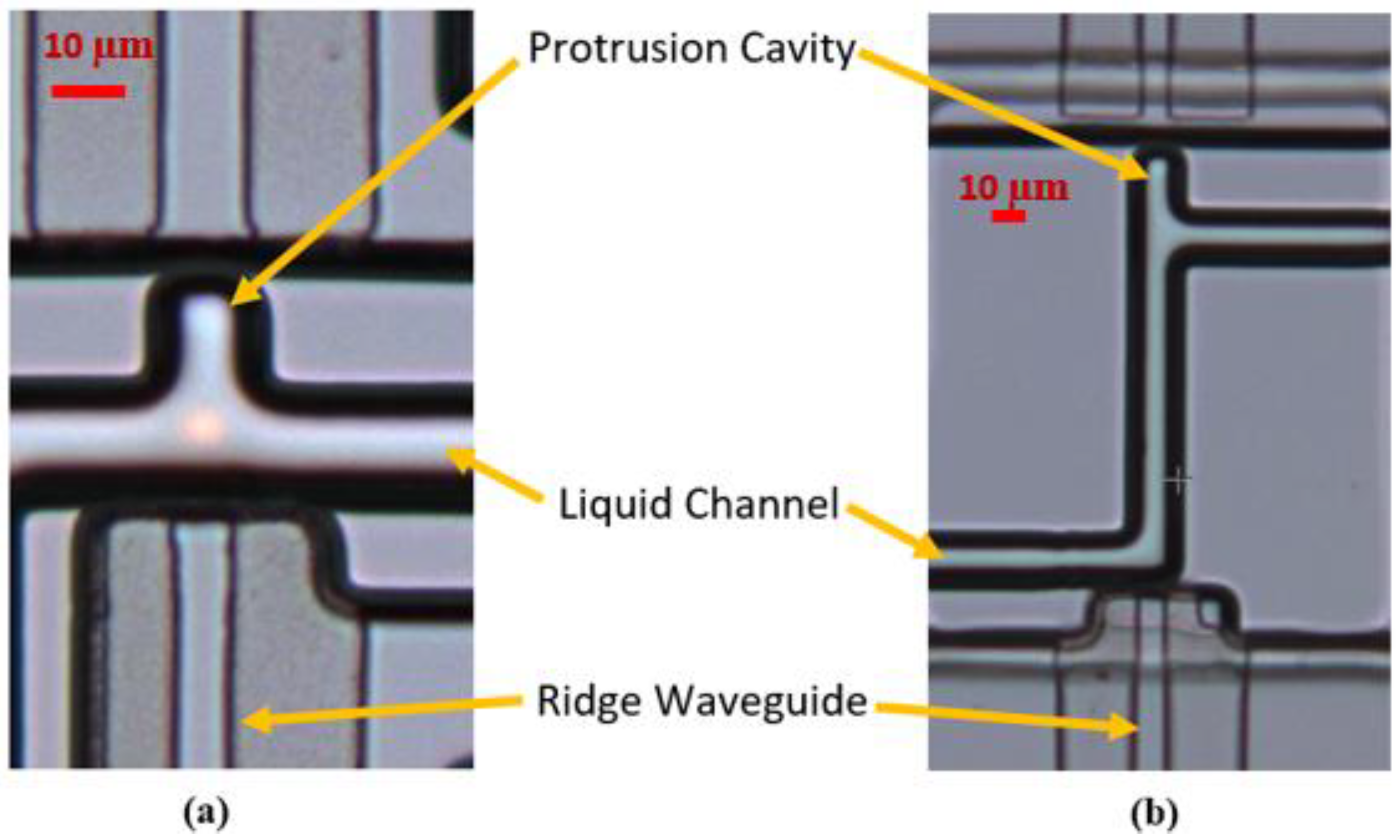 Biosensors 12 00690 g003