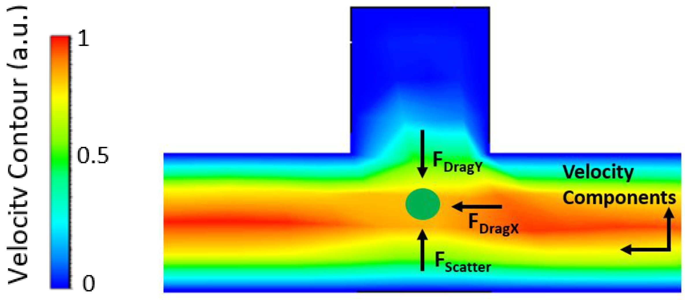 Biosensors 12 00690 g005