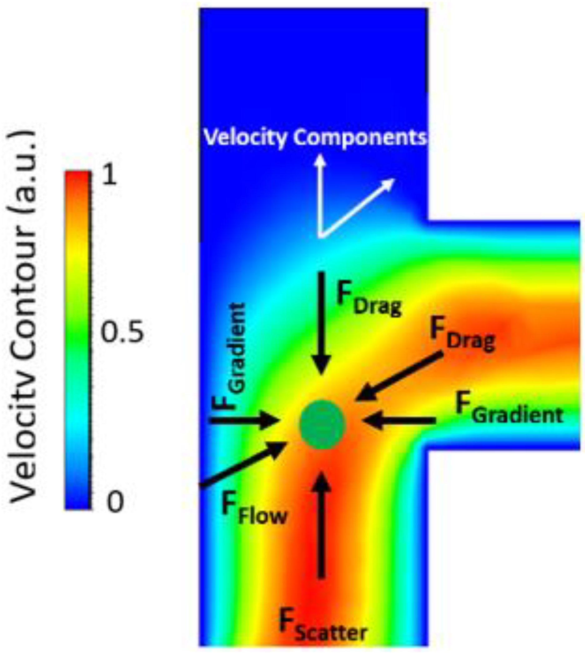 Biosensors 12 00690 g009