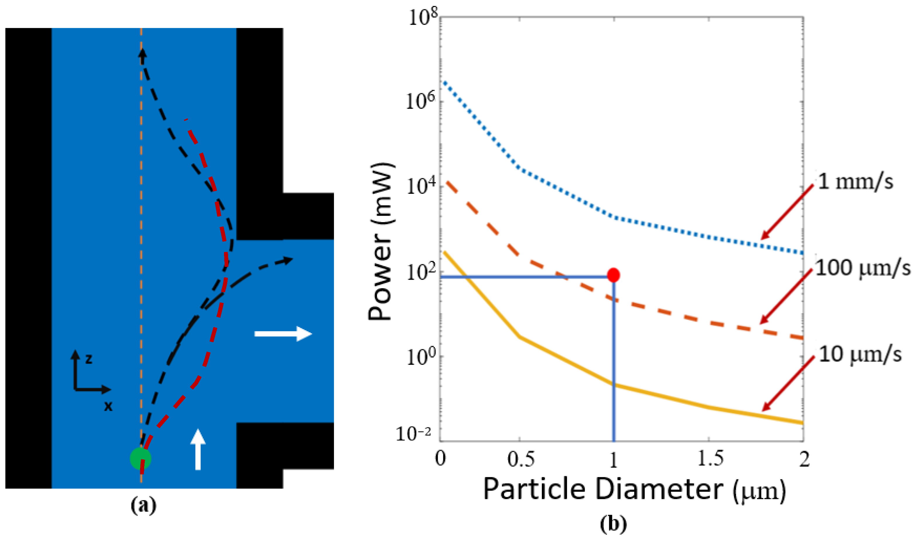 Biosensors 12 00690 g010