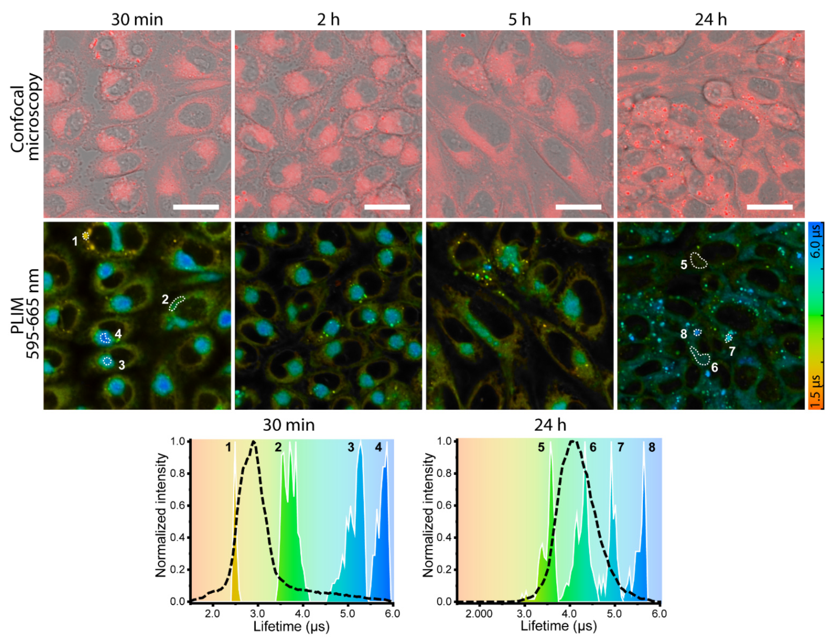 Biosensors 12 00695 g006