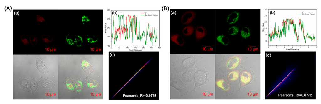 Biosensors 12 00696 g004 550