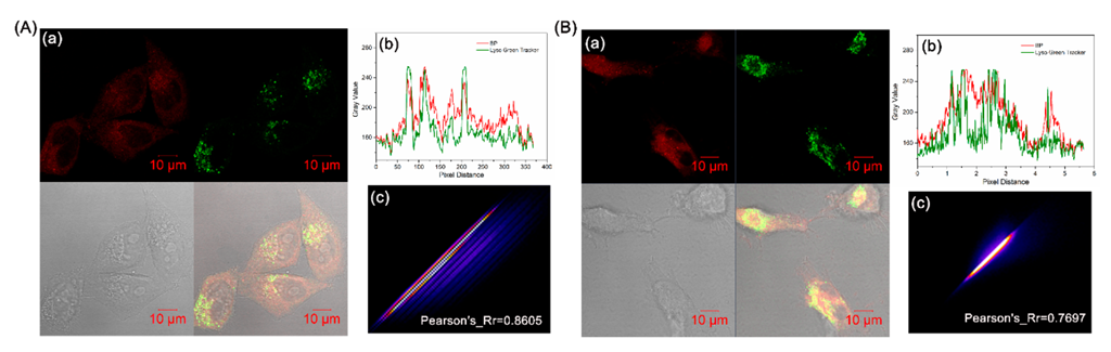 Biosensors 12 00696 g005 550