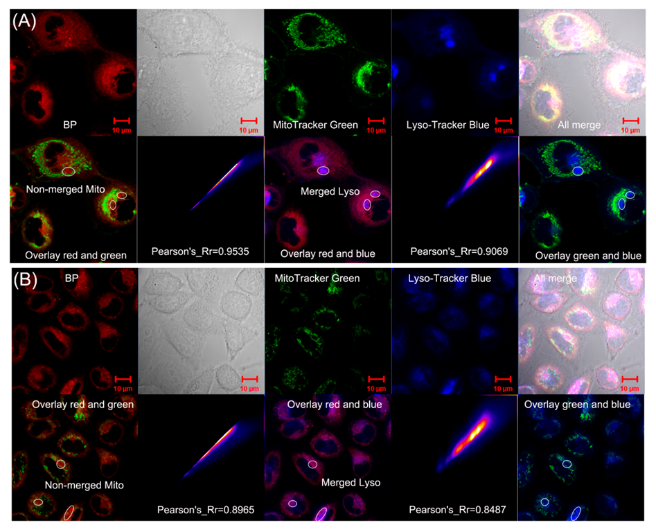 Biosensors 12 00696 g006 550