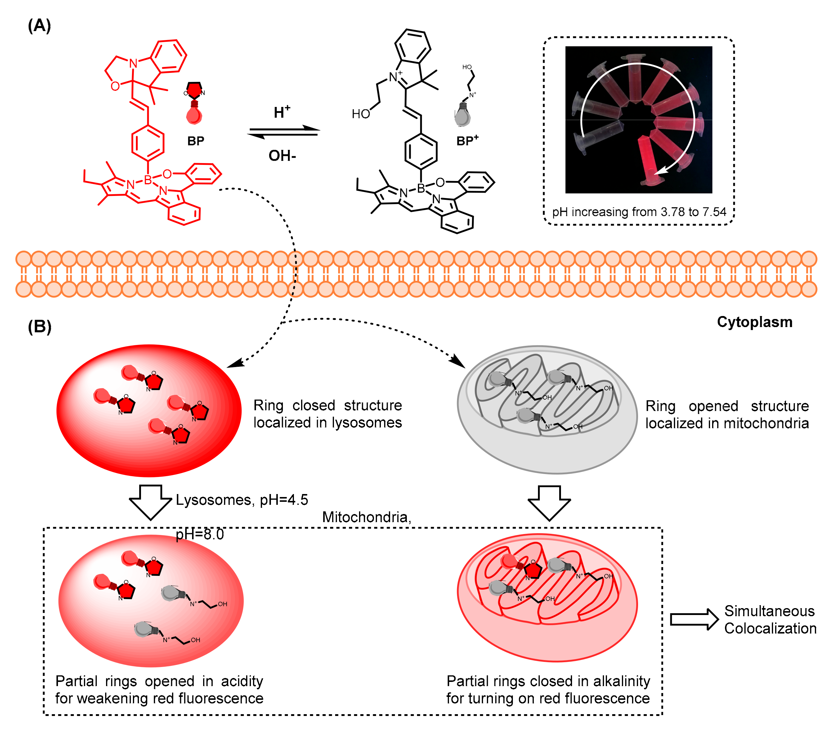 Biosensors 12 00696 sch001 550