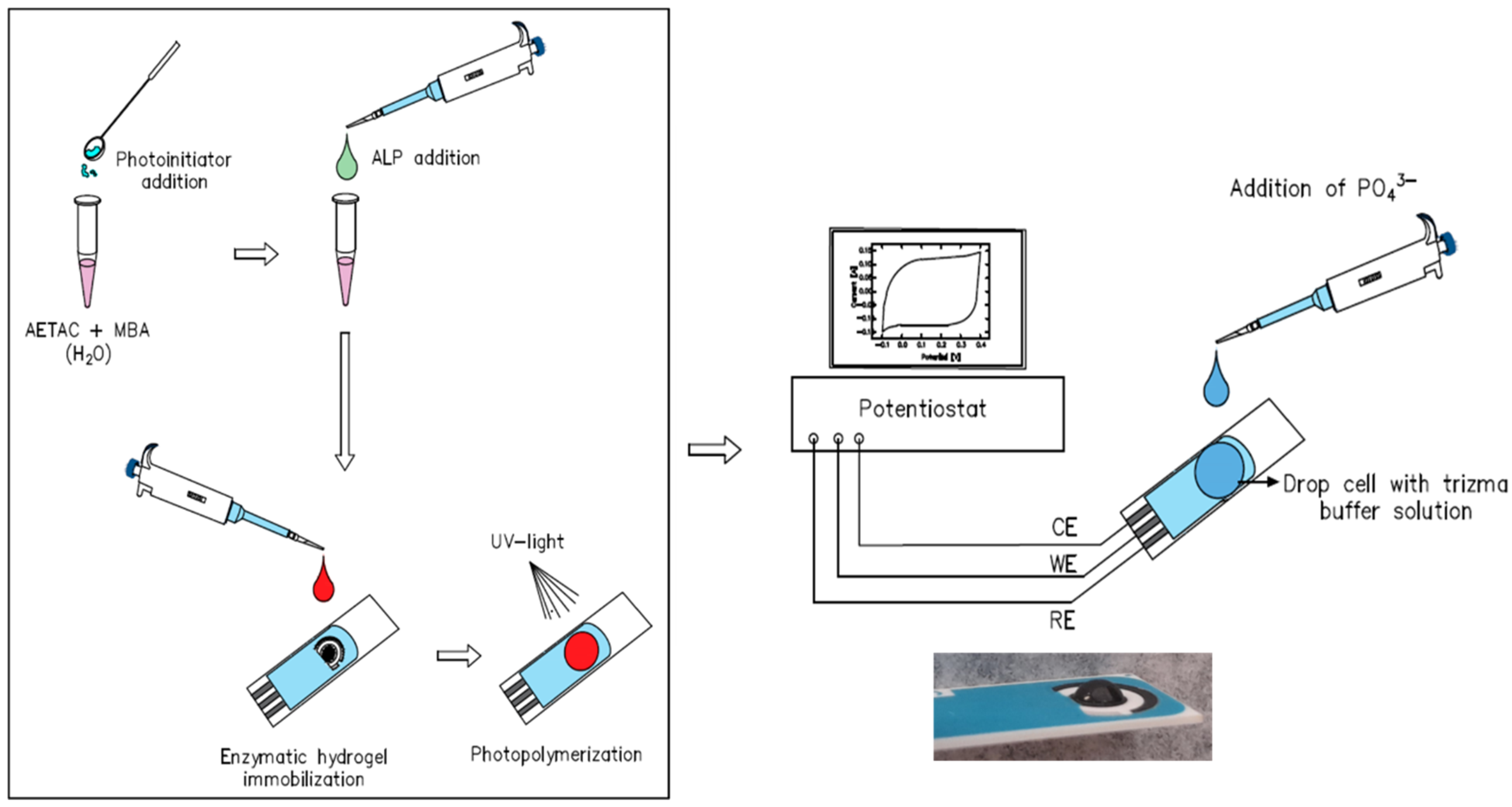 Biosensors 12 00698 sch001 550