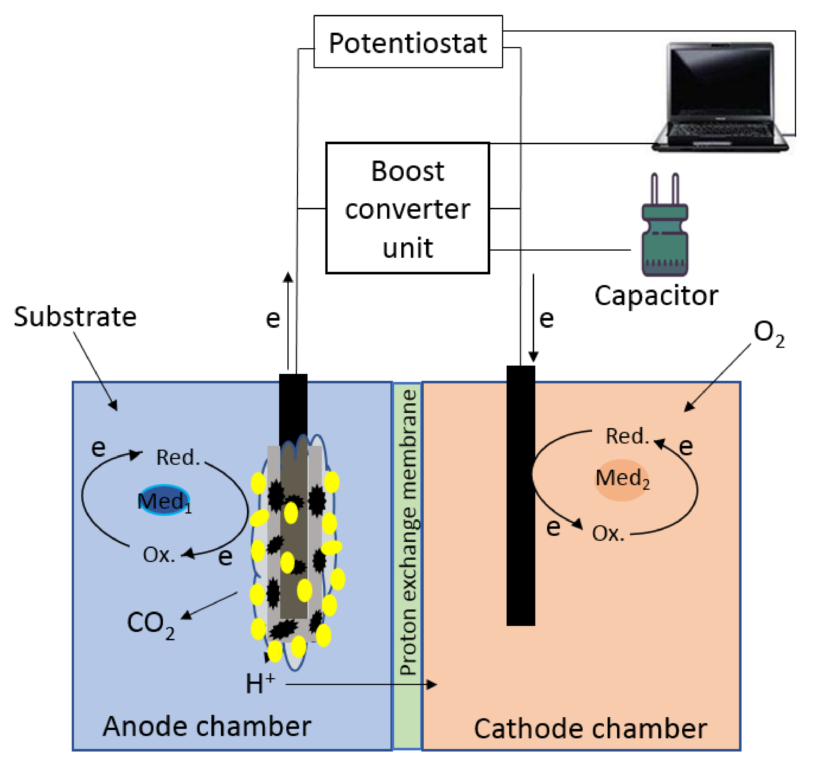 Biosensors 12 00699 g001