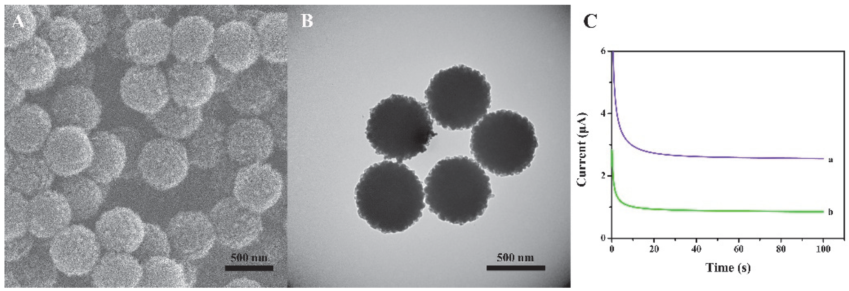 Biosensors 12 00704 g002 550