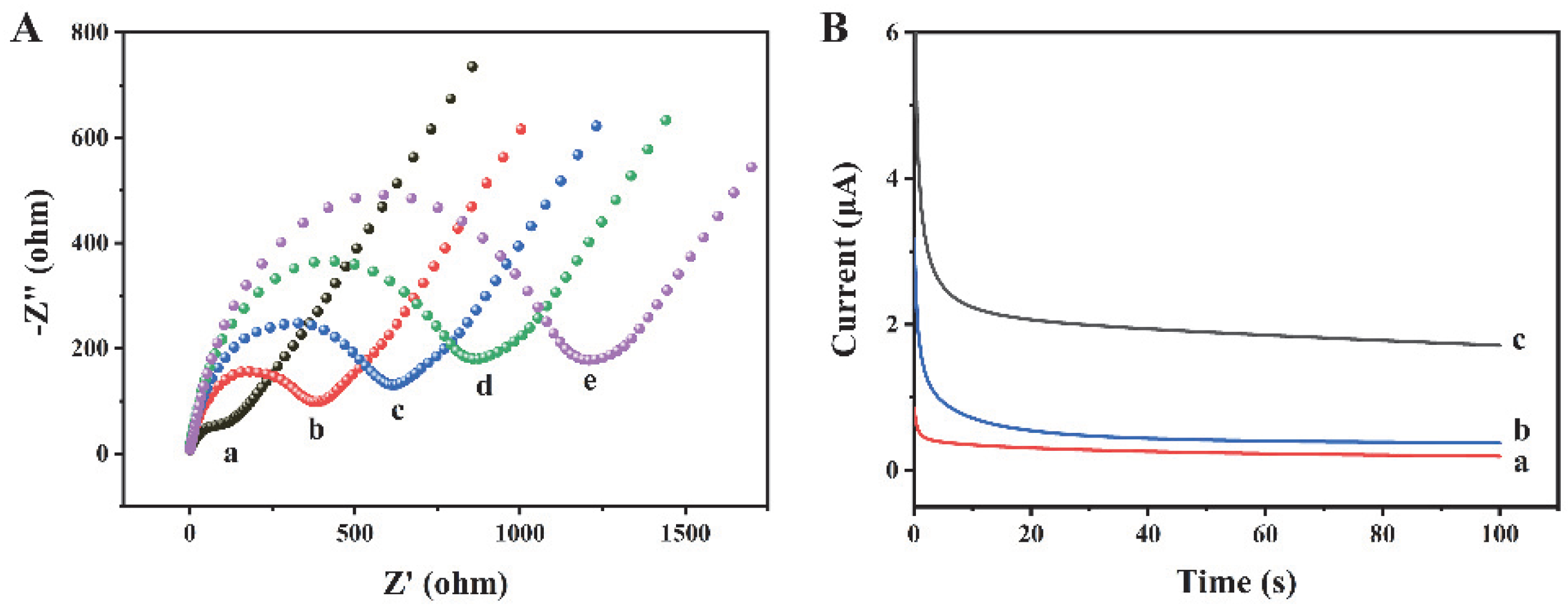 Biosensors 12 00704 g003 550
