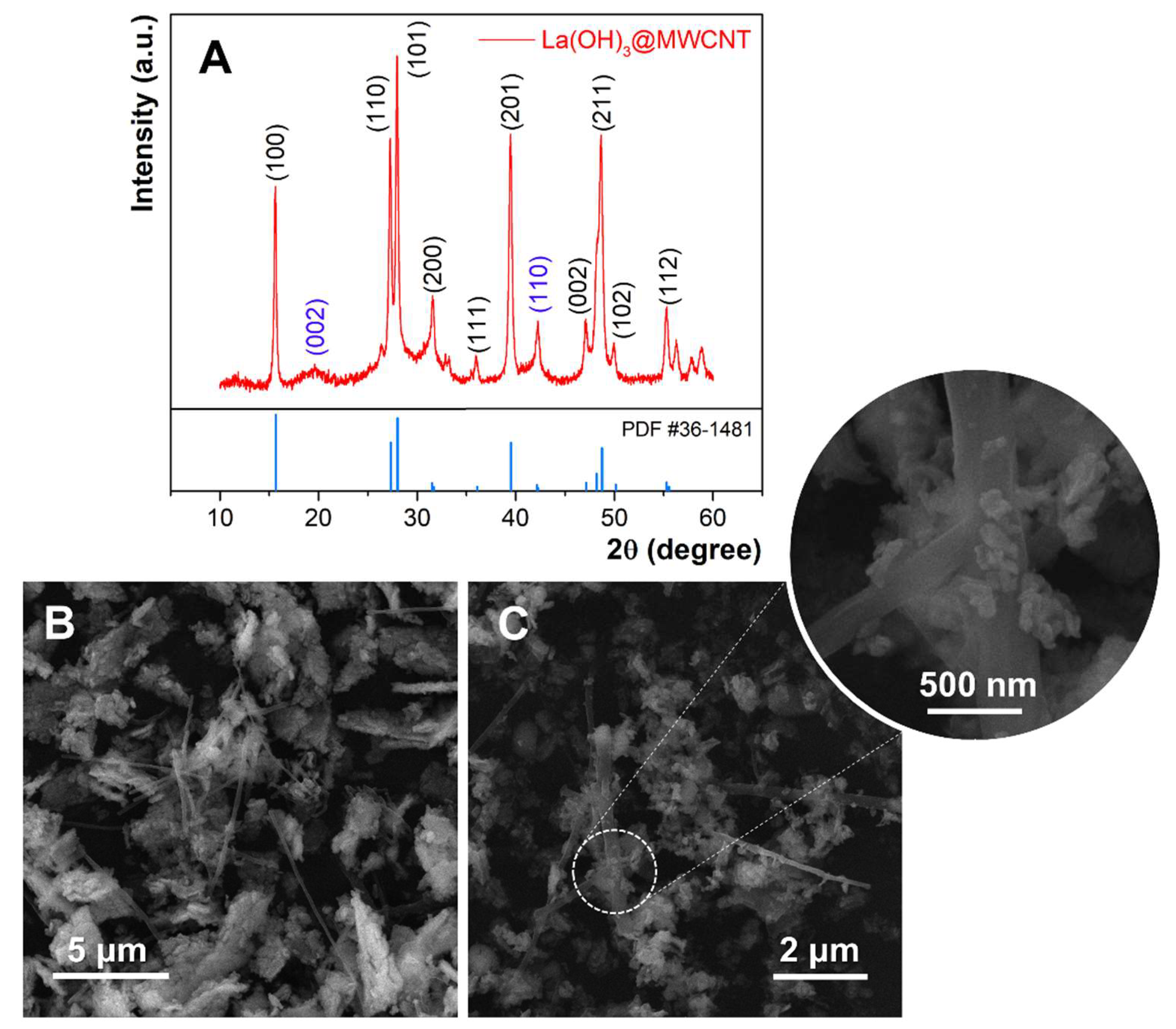 Biosensors 12 00705 g001 550