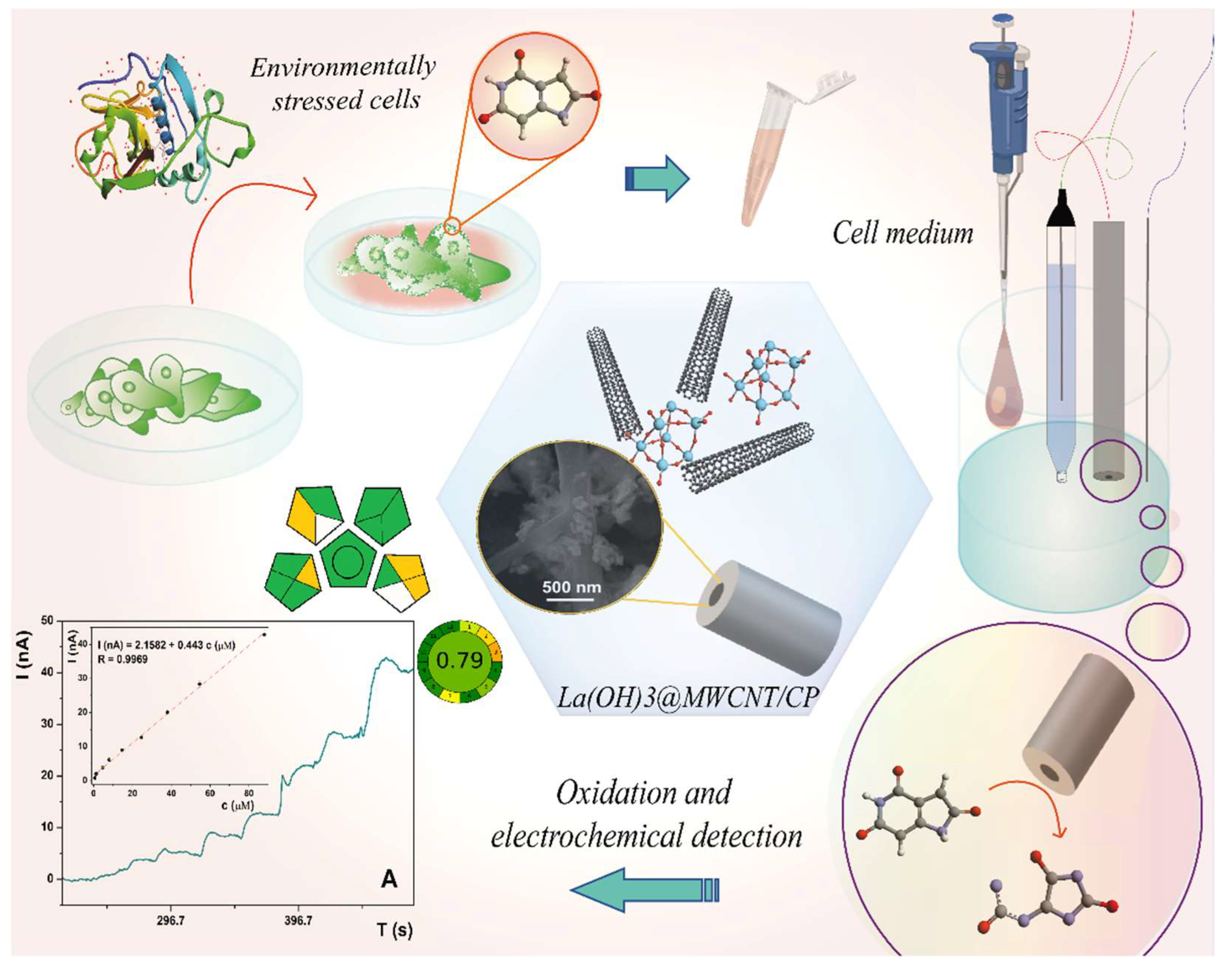 Biosensors 12 00705 sch001 550
