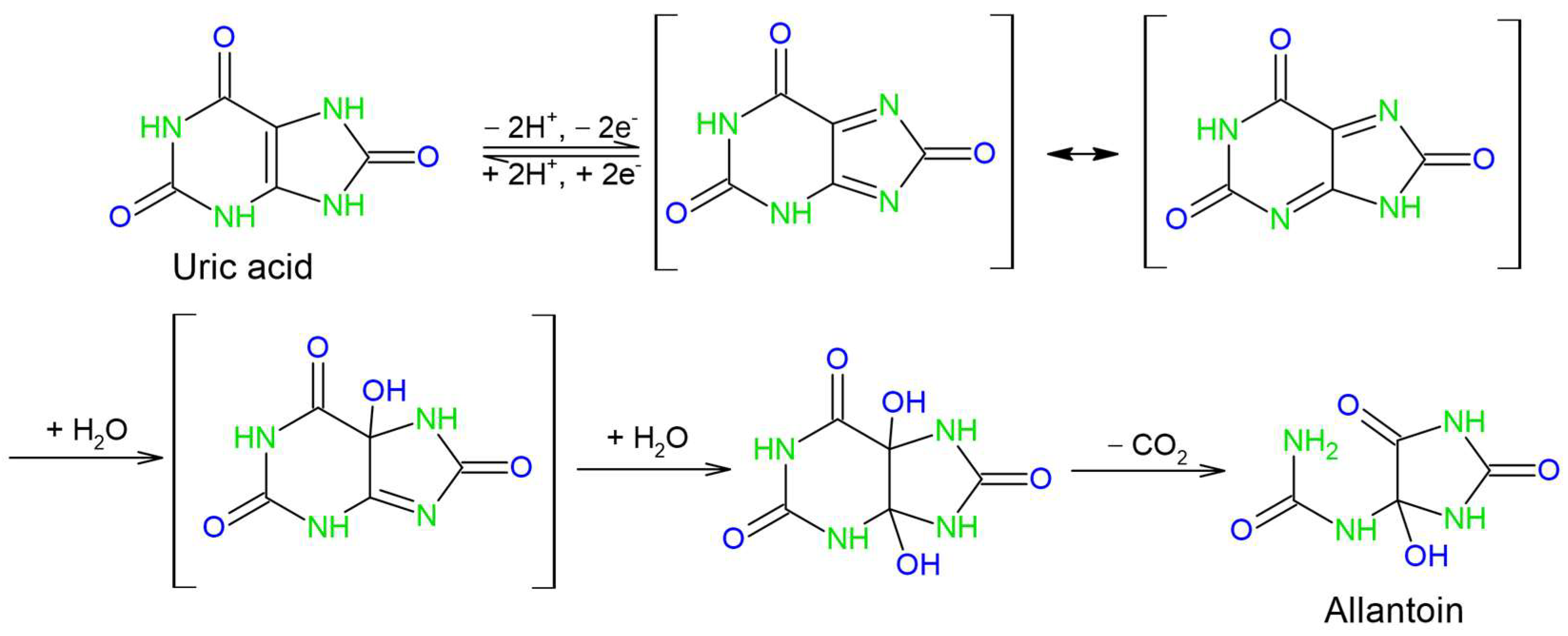 Biosensors 12 00705 sch002 550