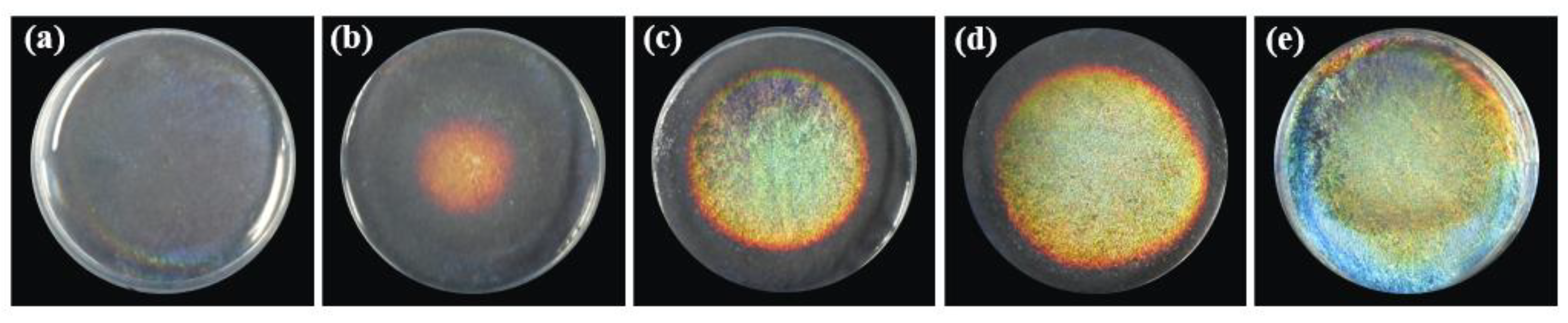 Biosensors 12 00707 g002