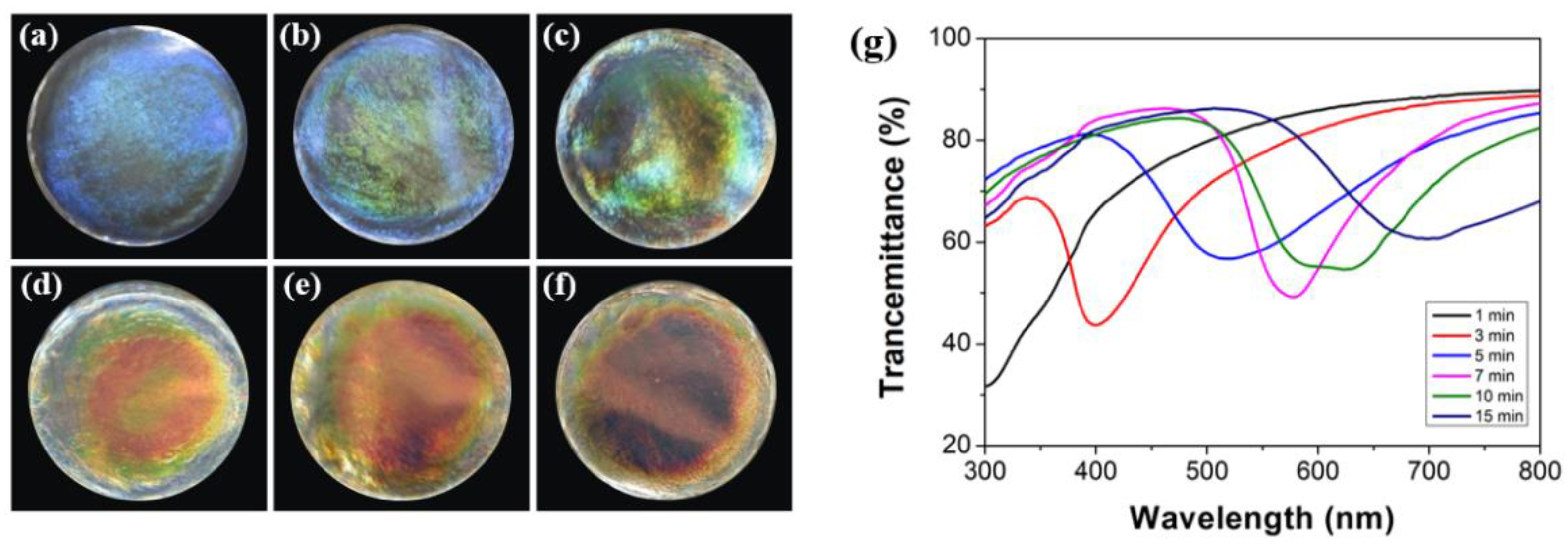 Biosensors 12 00707 g003