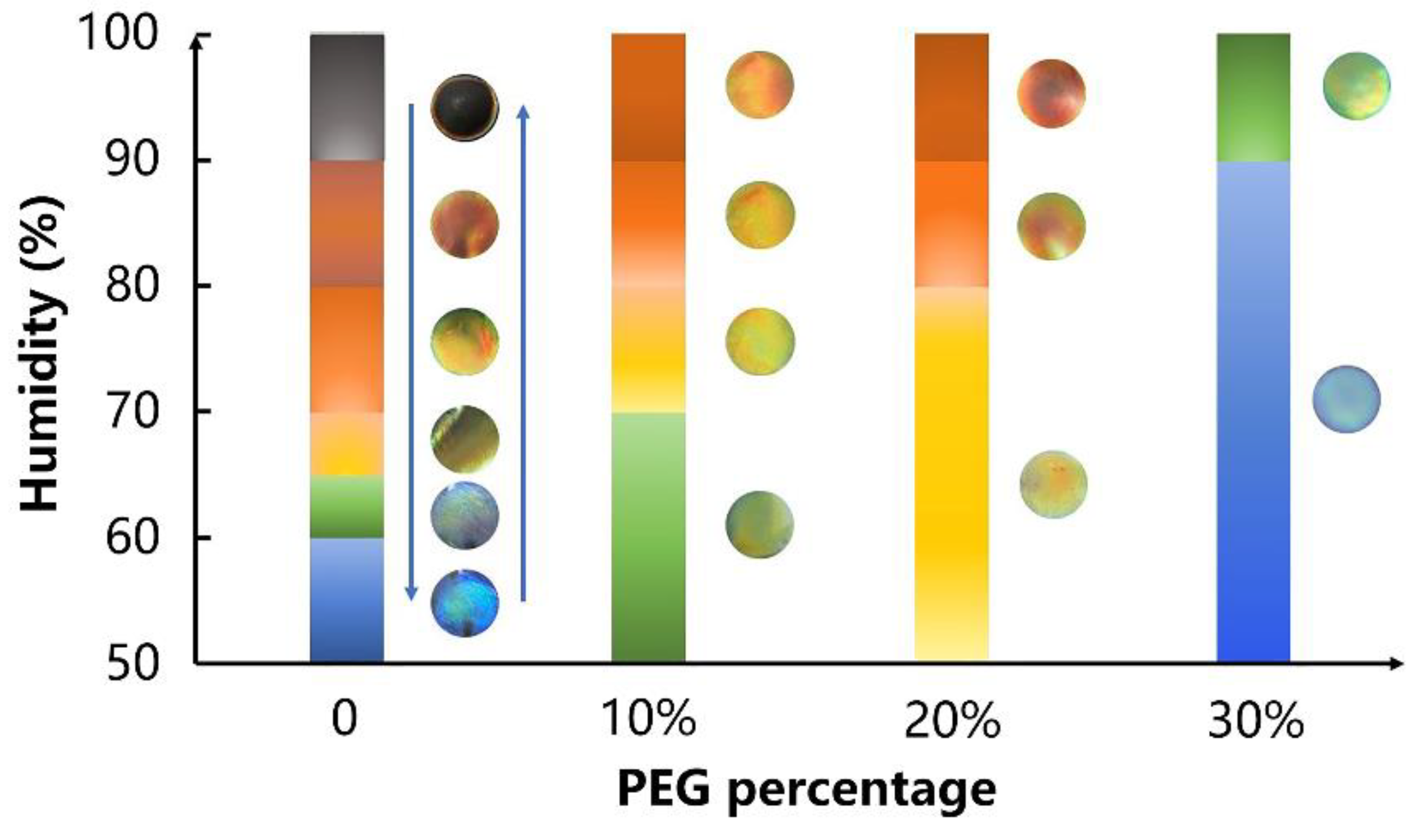 Biosensors 12 00707 g005