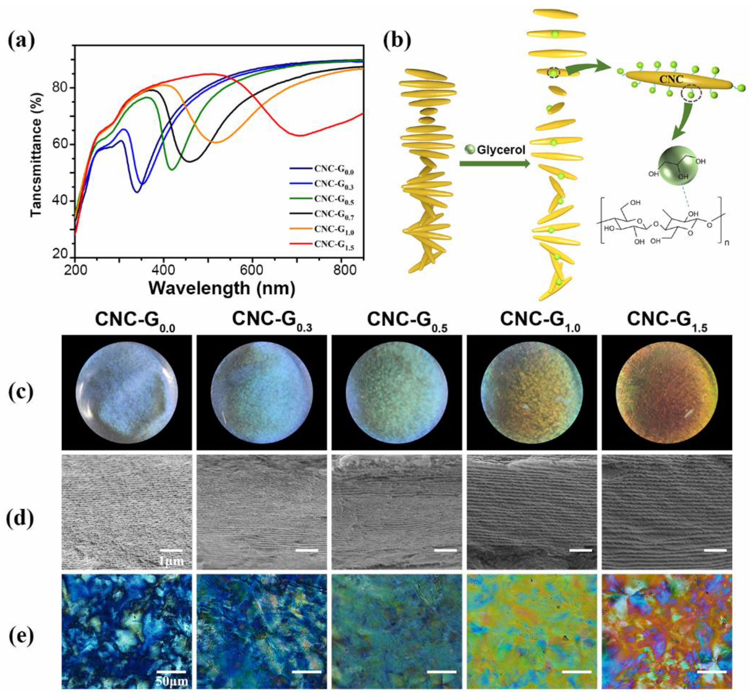 Biosensors 12 00707 g006