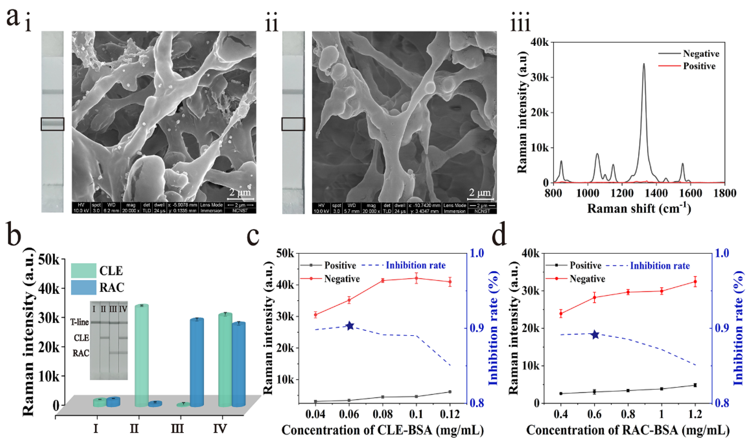 Biosensors 12 00709 g002 550