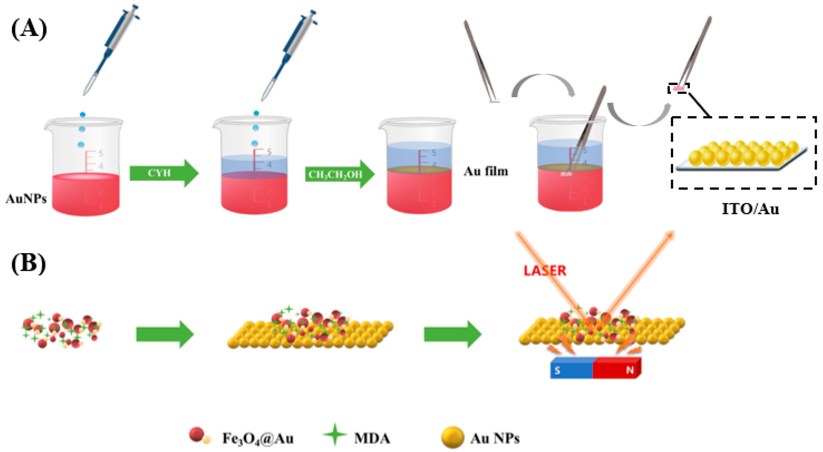 Biosensors 12 00711 g001