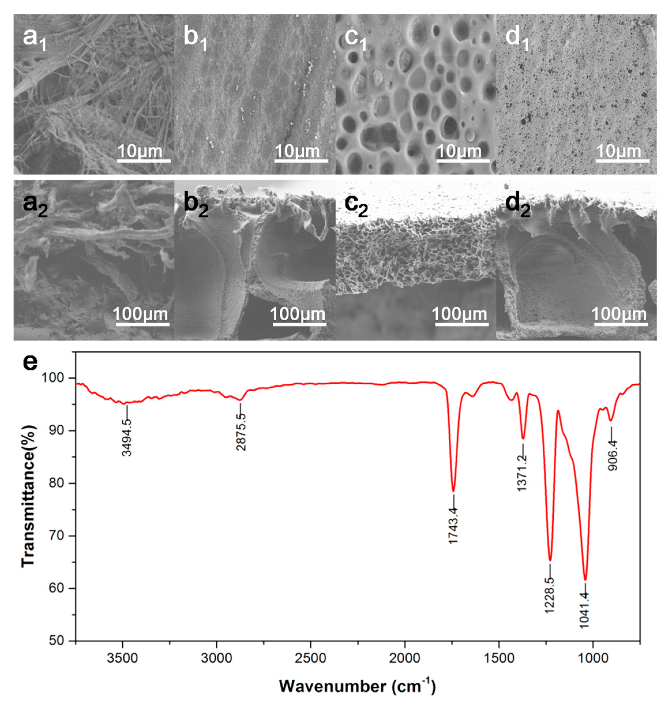 Biosensors 12 00712 g001