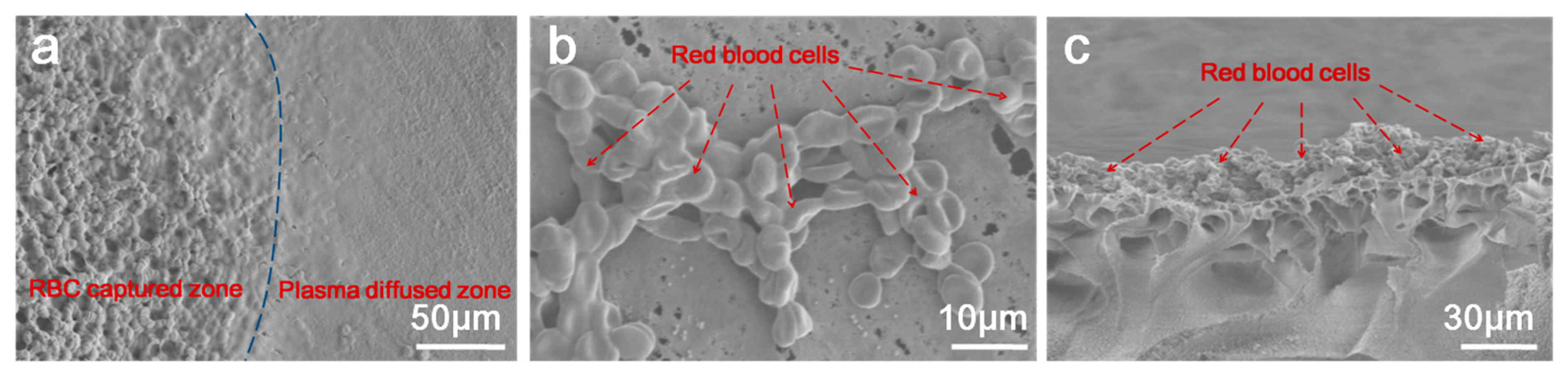 Biosensors 12 00712 g002