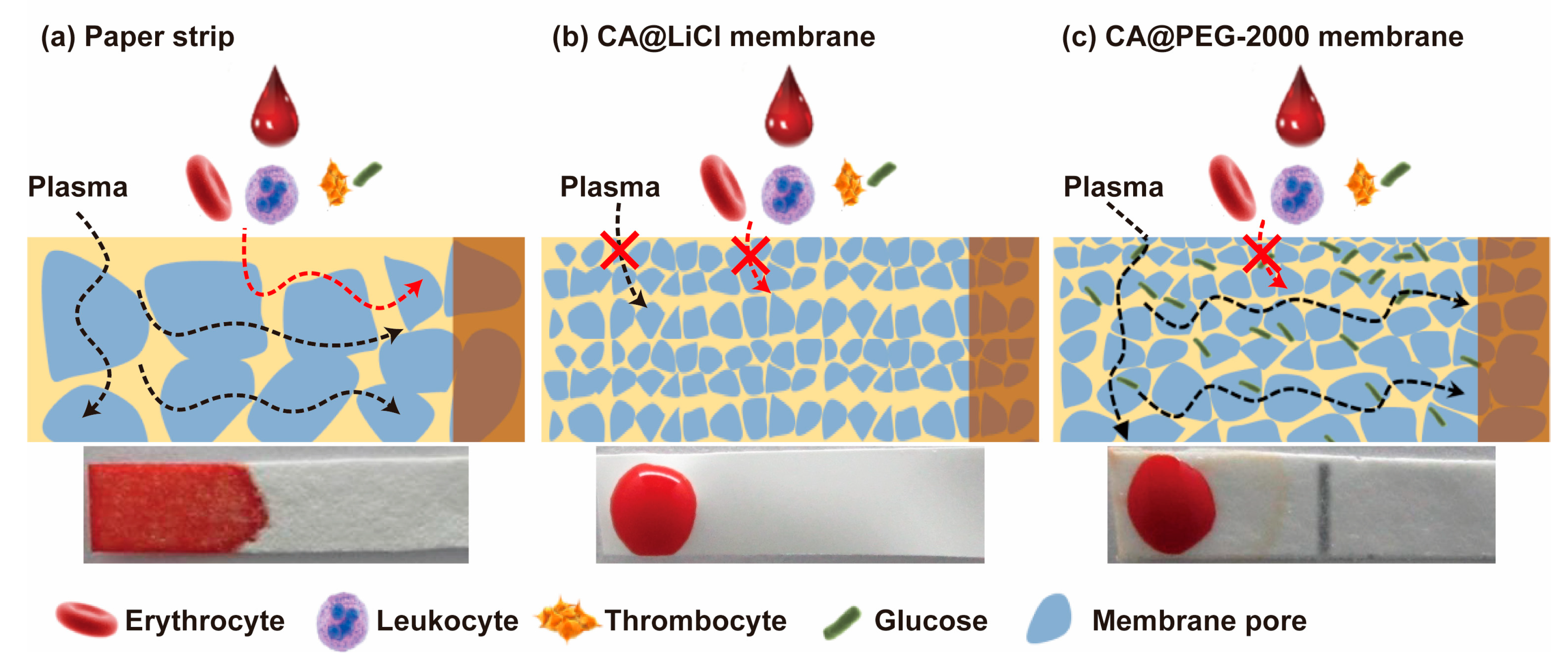 Biosensors 12 00712 sch001