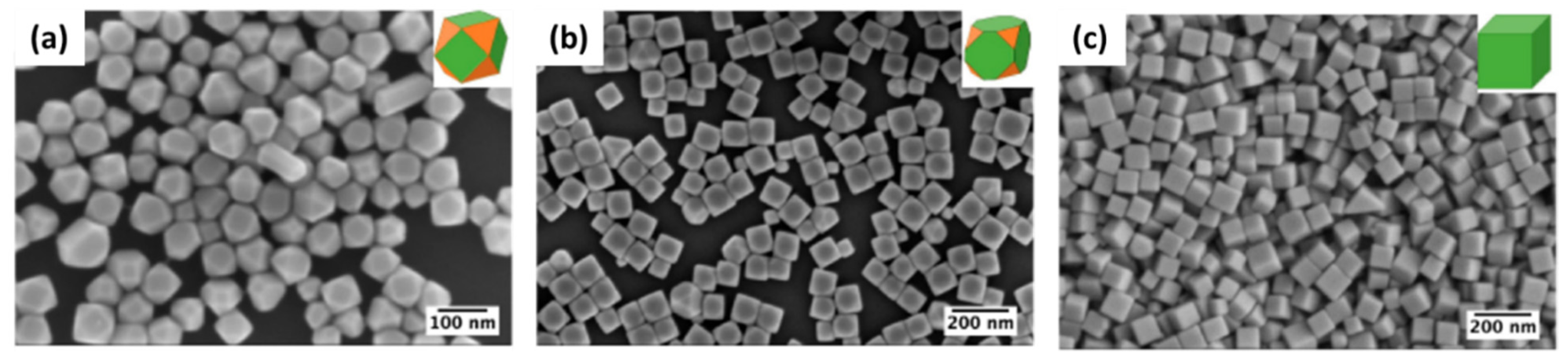 Biosensors 12 00713 g003