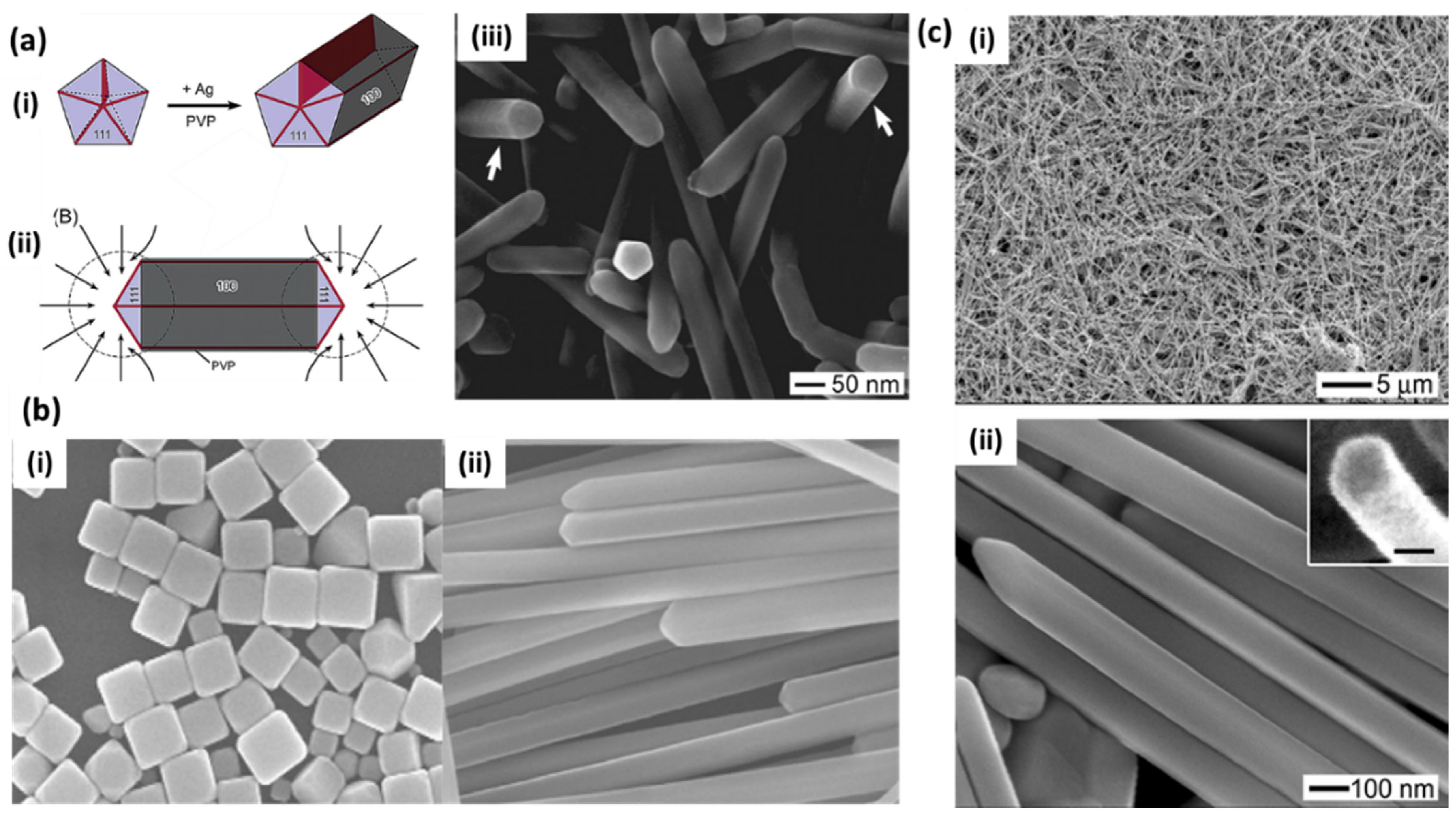 Biosensors 12 00713 g004