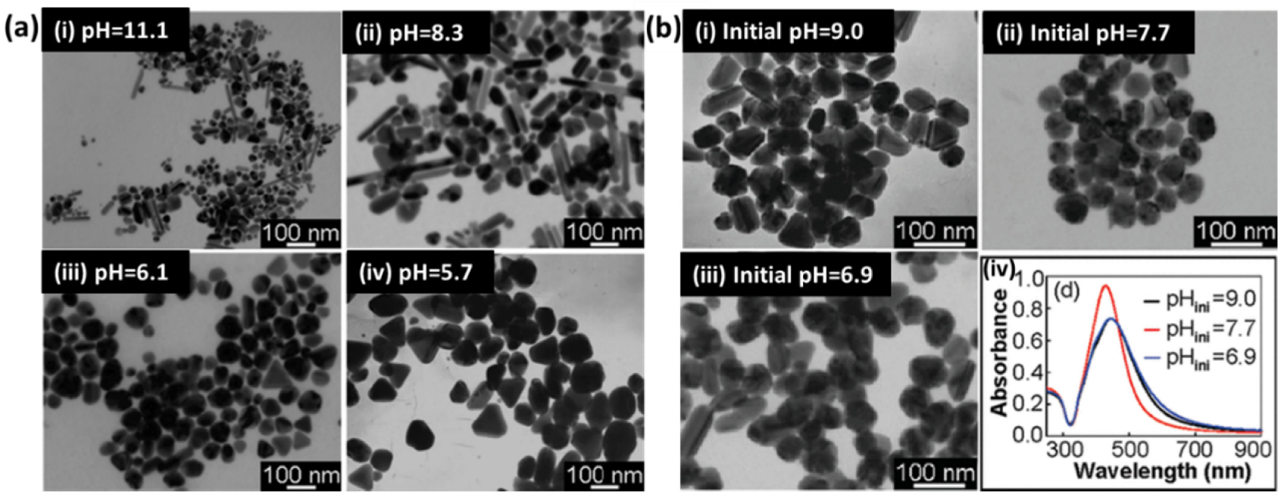 Biosensors 12 00713 g005