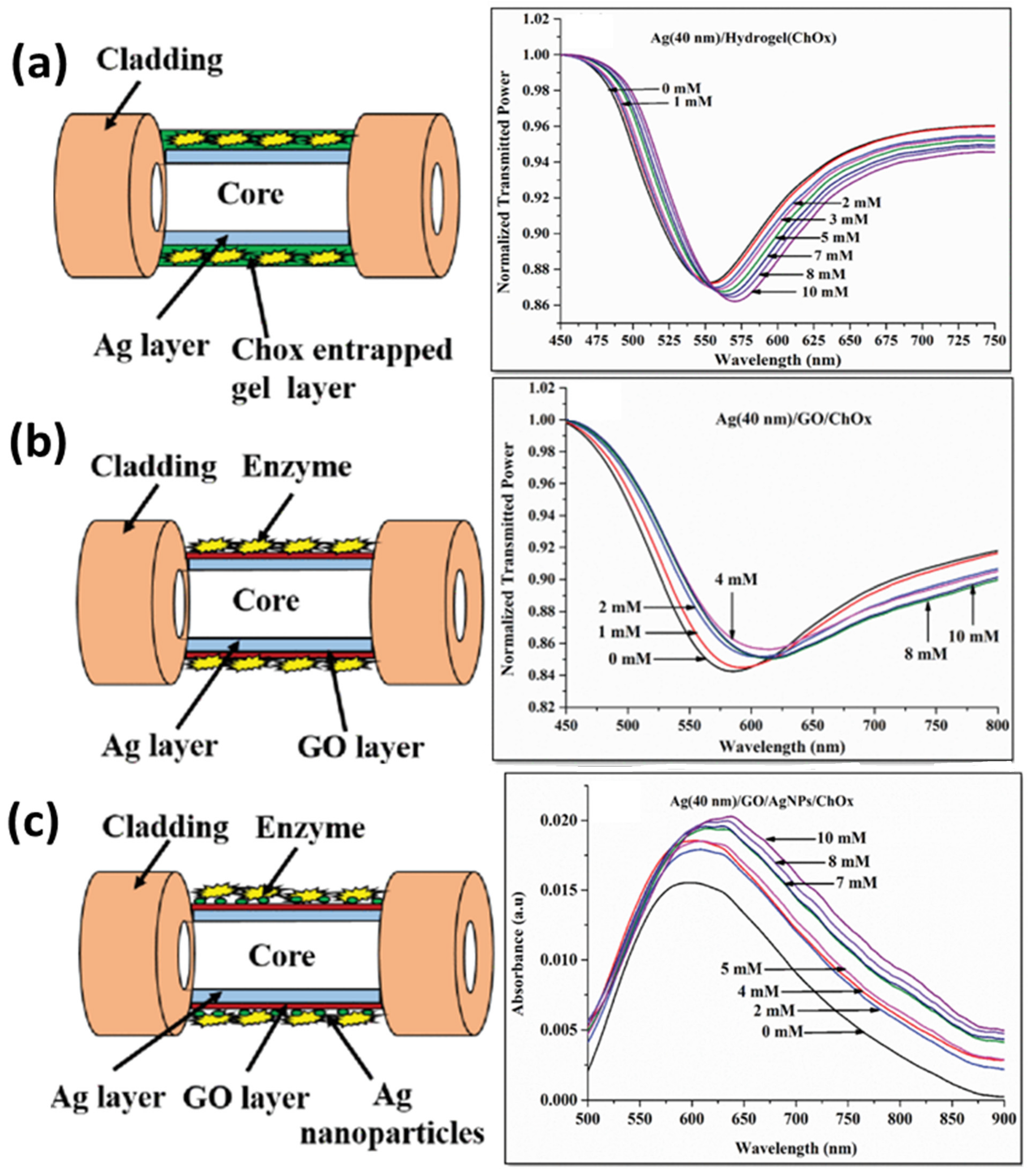 Biosensors 12 00713 g009