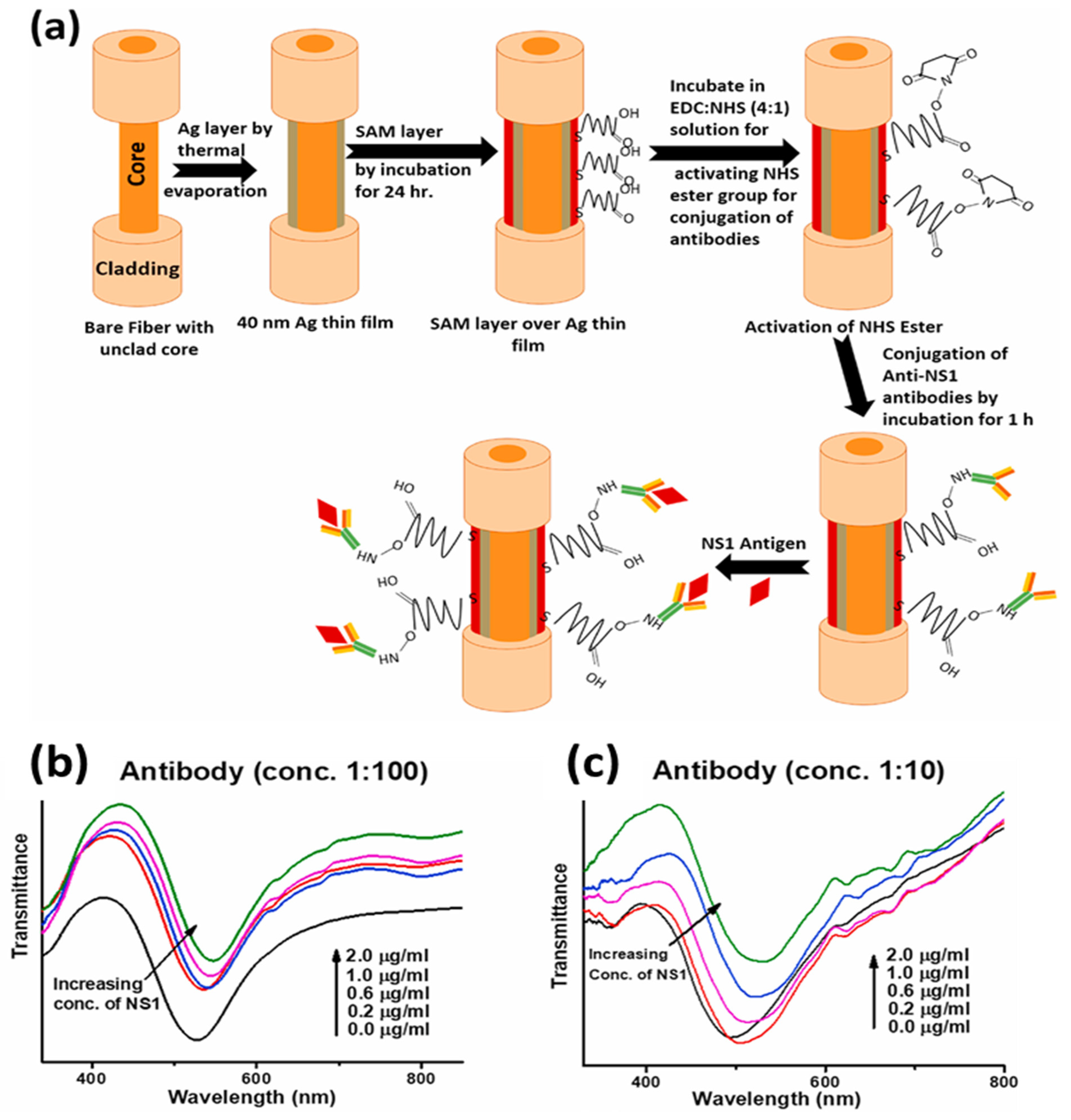 Biosensors 12 00713 g010
