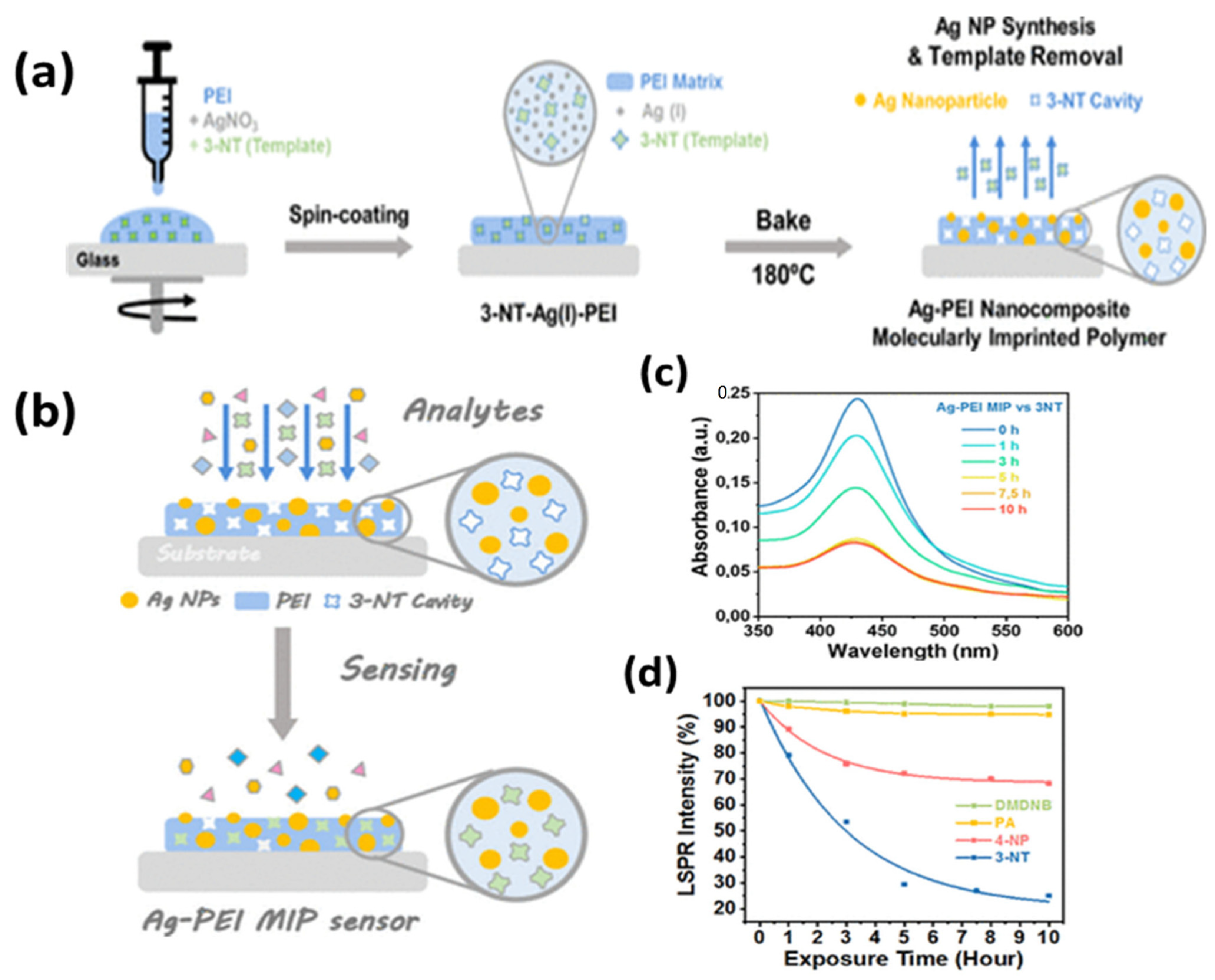 Biosensors 12 00713 g012