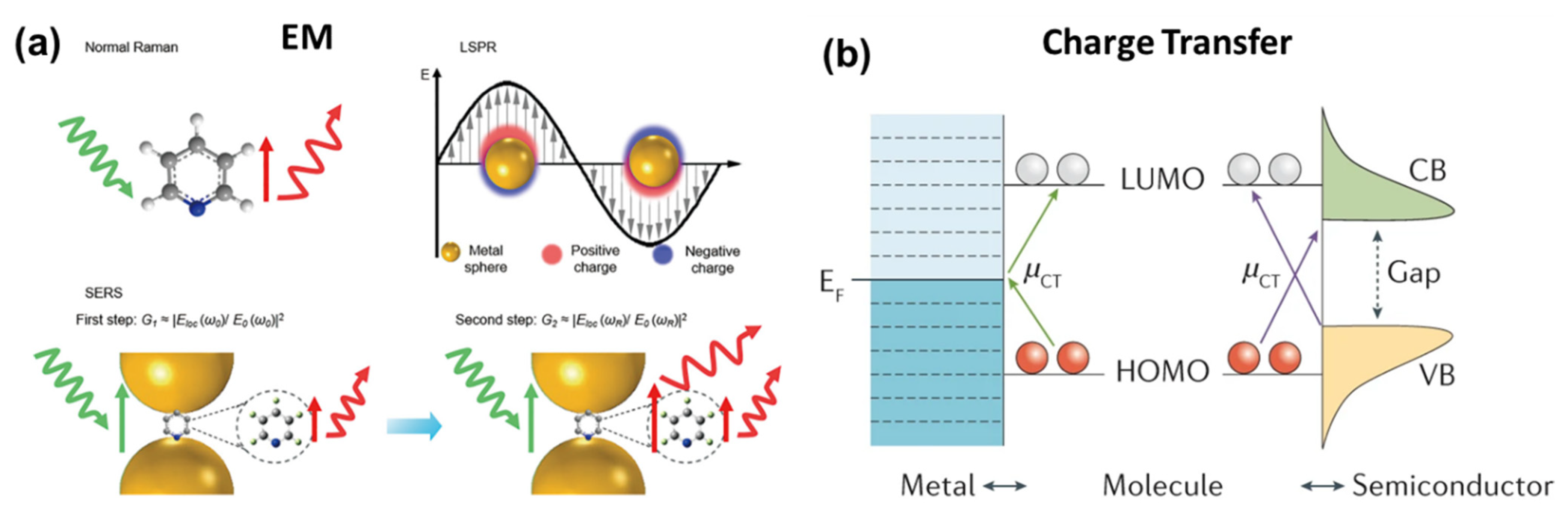 Biosensors 12 00713 g013