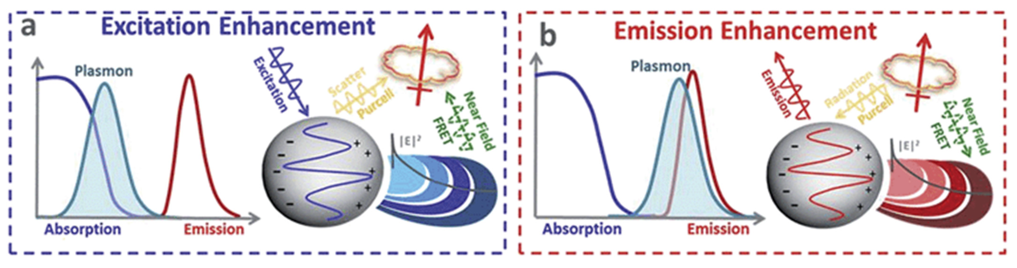 Biosensors 12 00713 g017