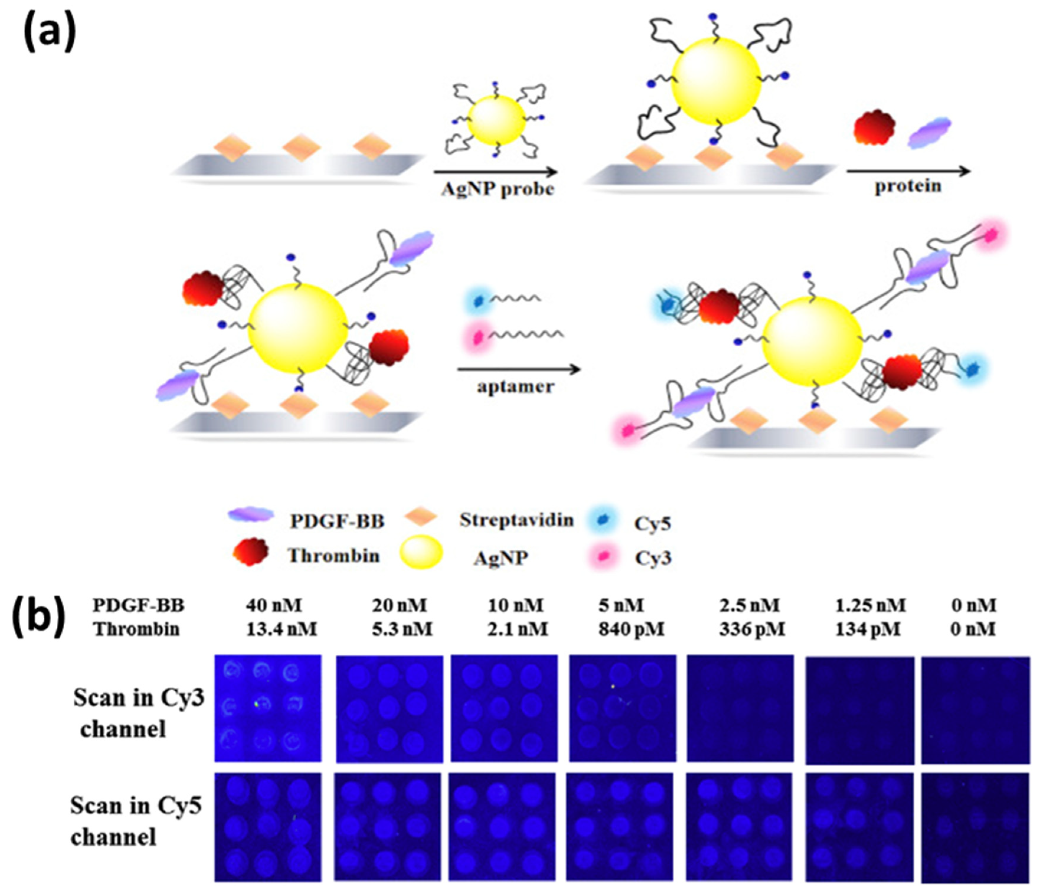 Biosensors 12 00713 g019