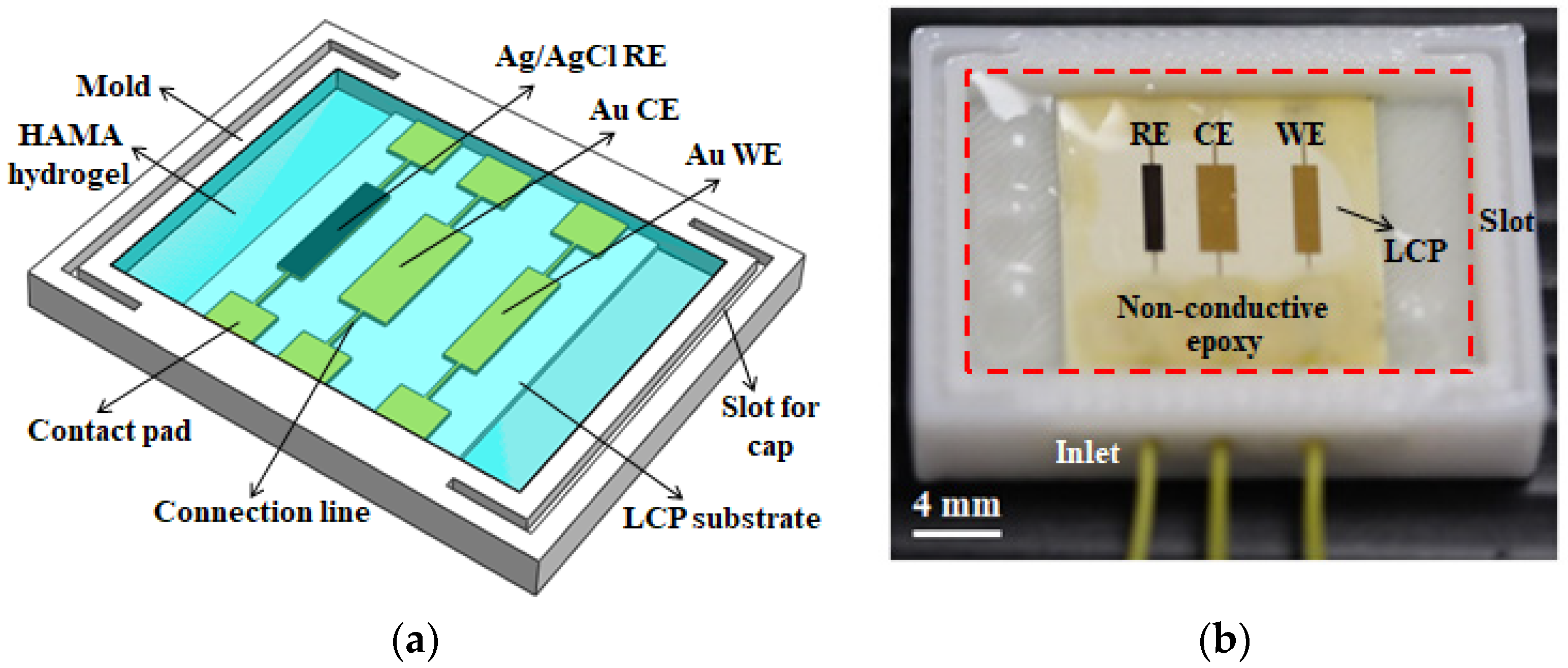 Biosensors 12 00714 g001 550