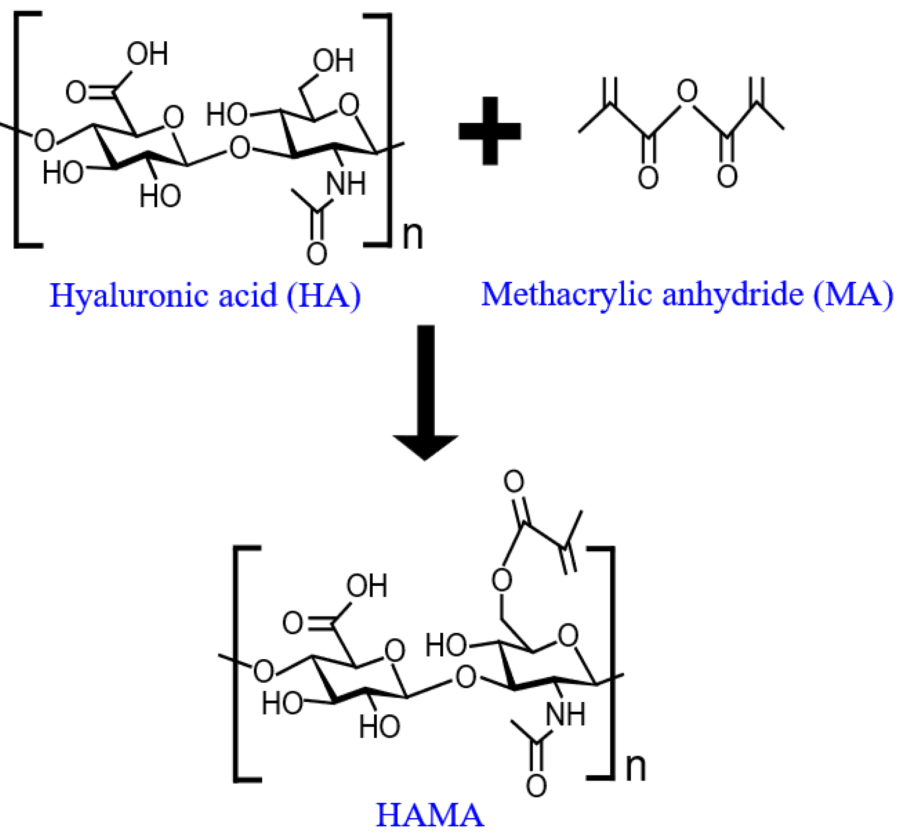 Biosensors 12 00714 g002 550