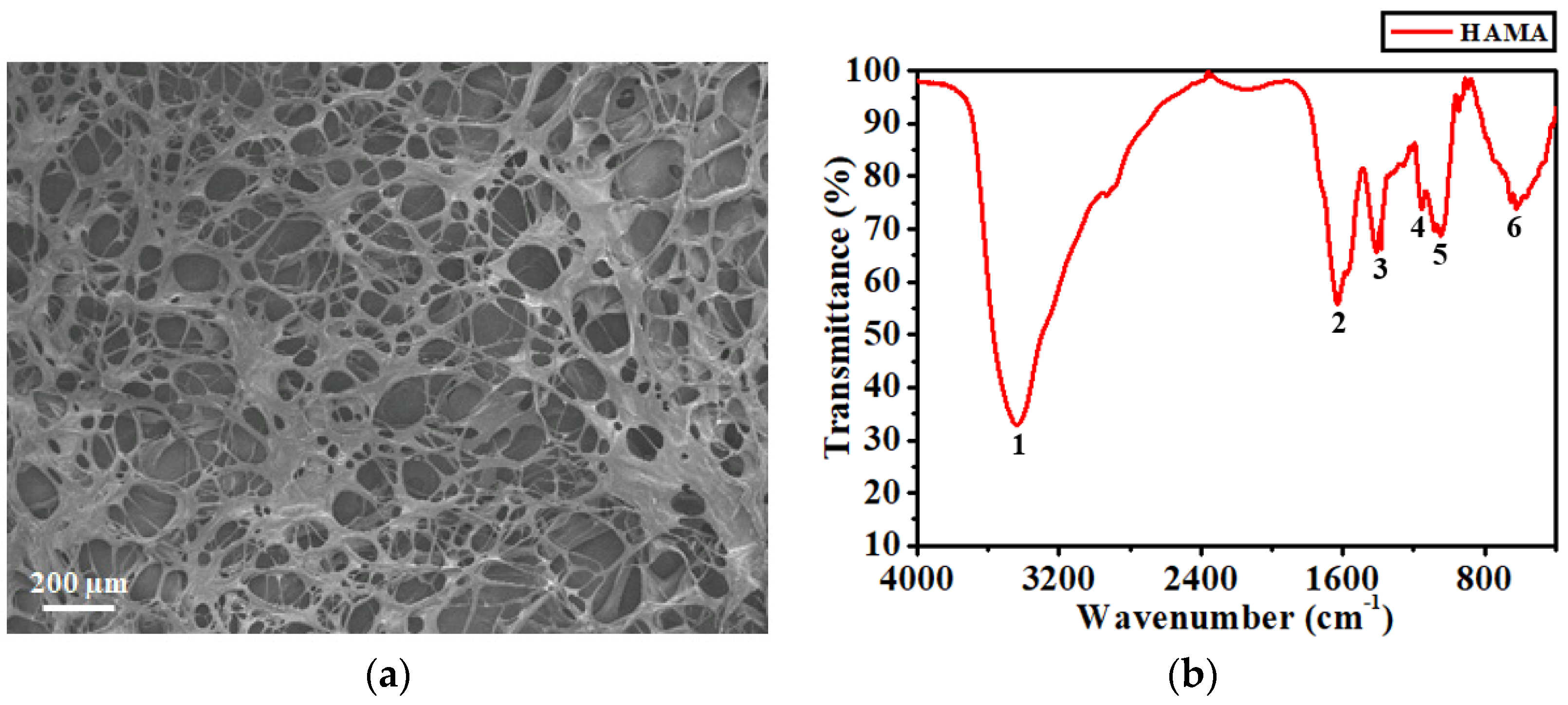 Biosensors 12 00714 g003 550