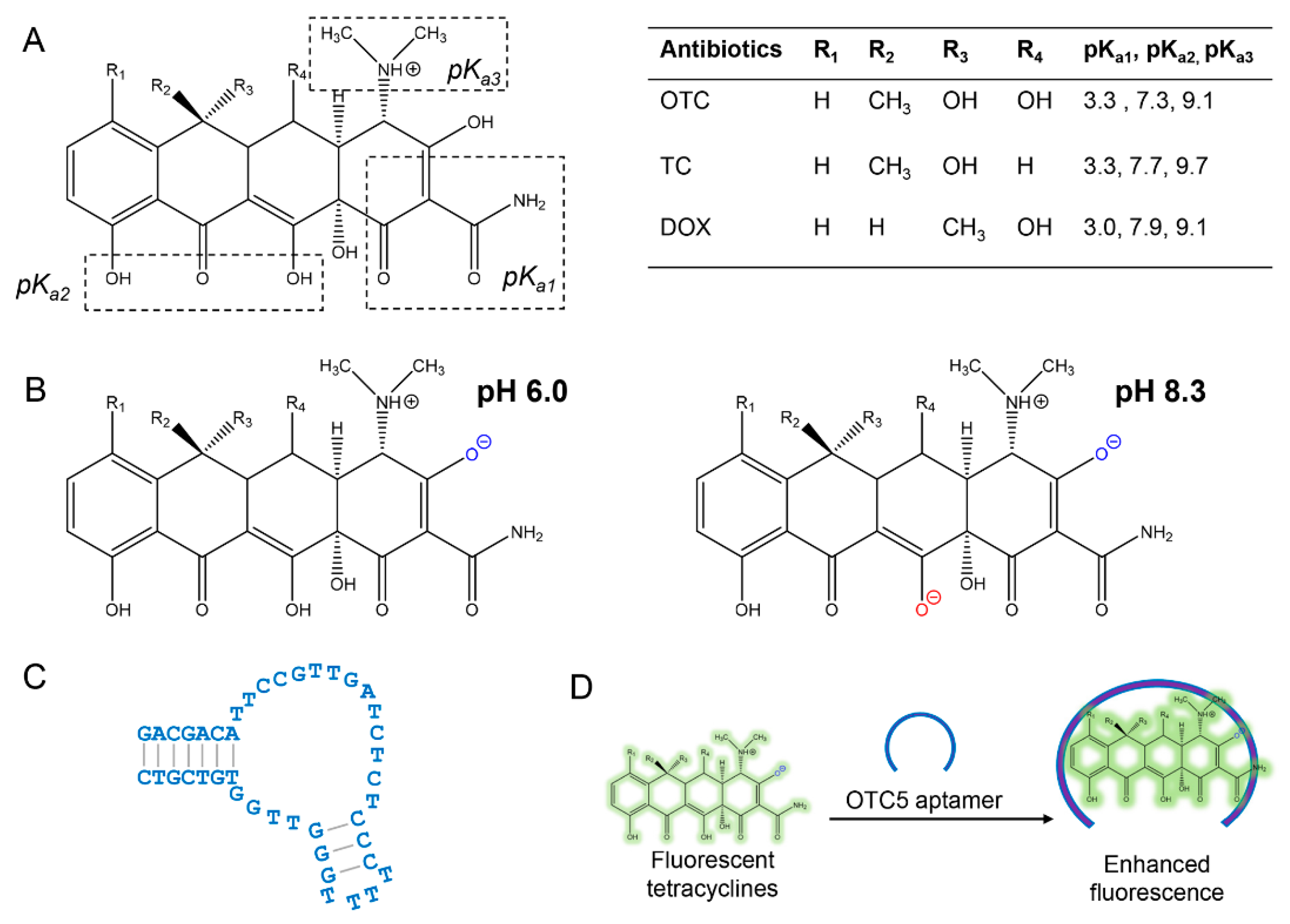 Biosensors 12 00717 g001