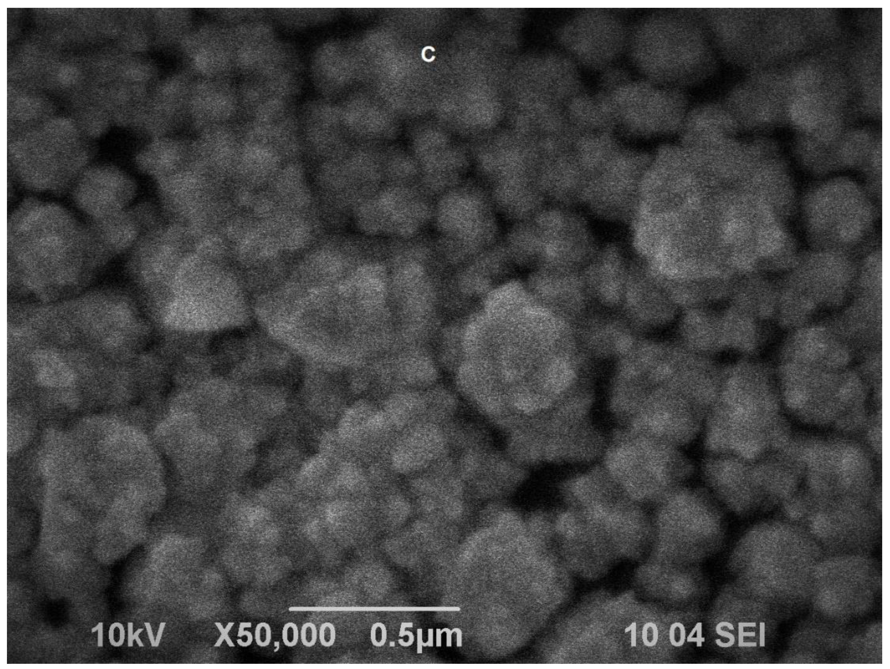 Biosensors 12 00719 g001b