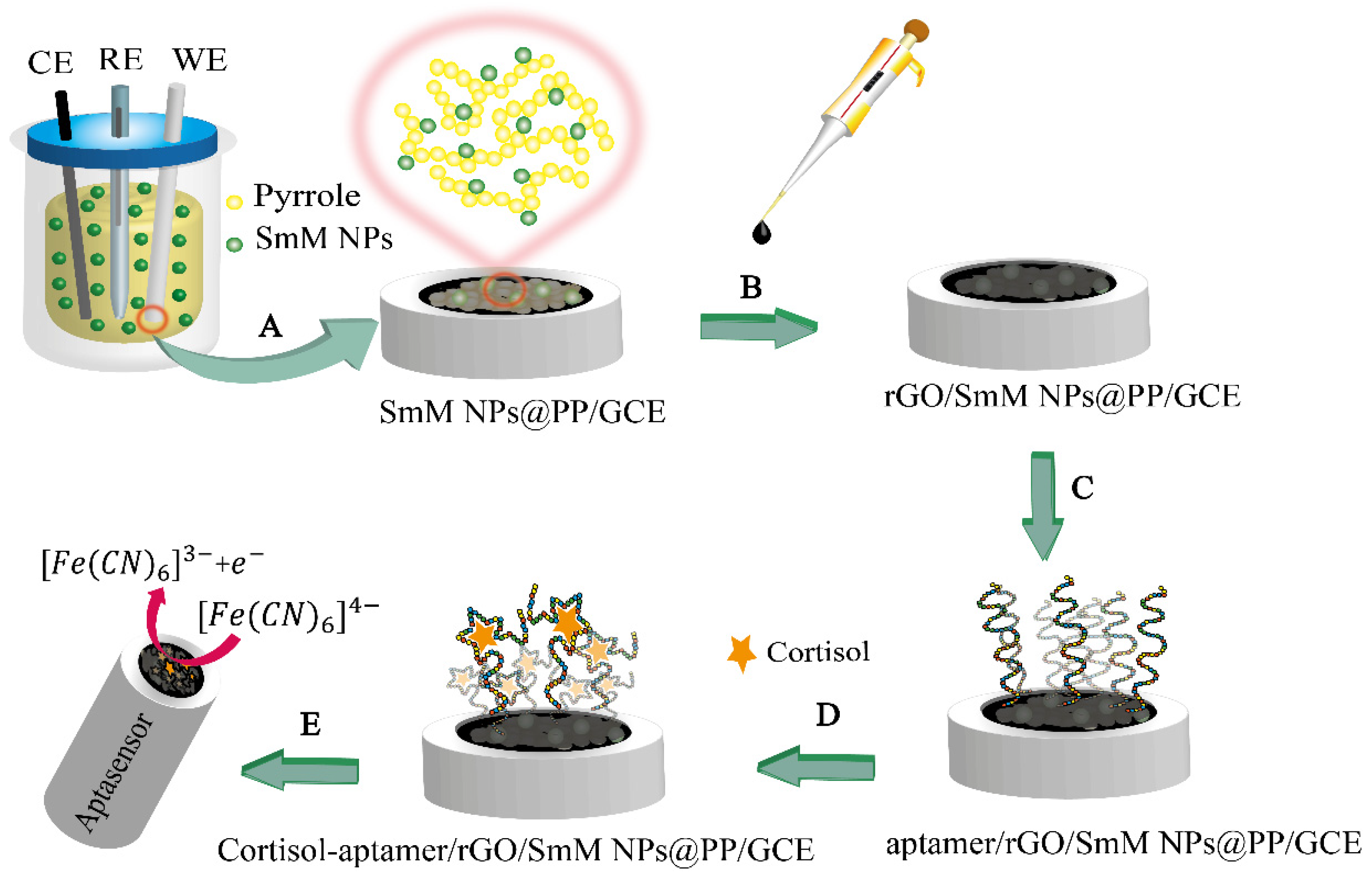 Biosensors 12 00720 g001