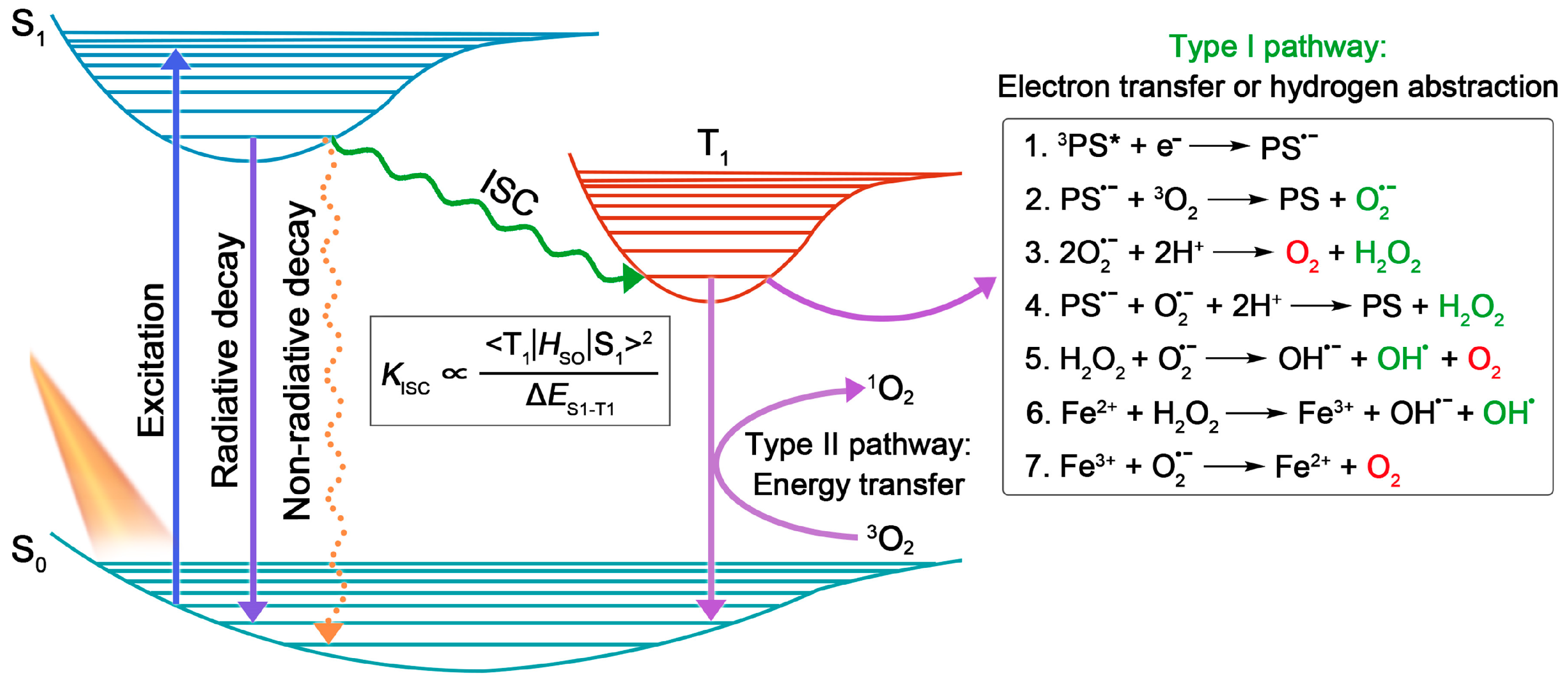 Biosensors 12 00722 g001 550