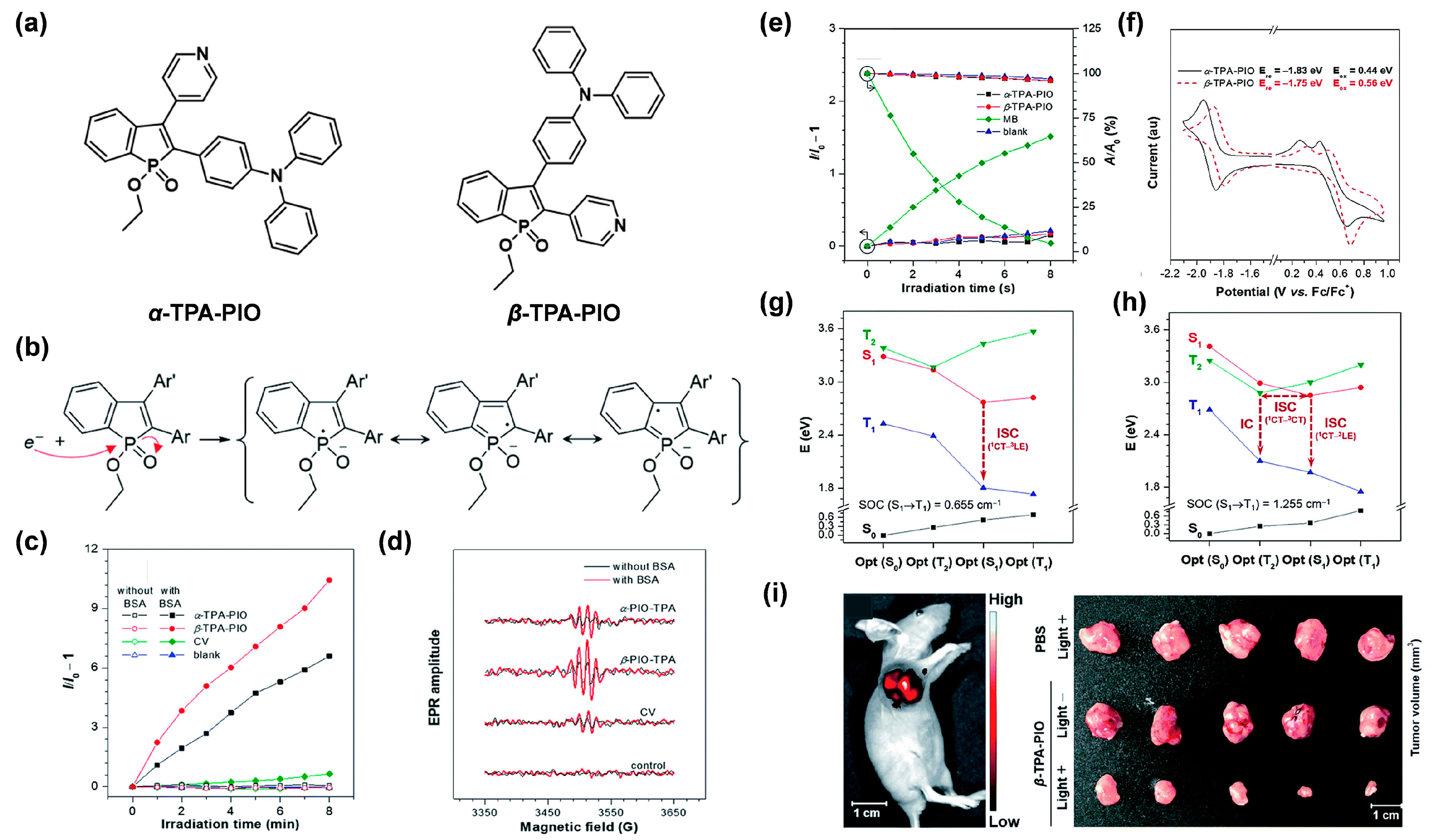 Biosensors 12 00722 g002 550
