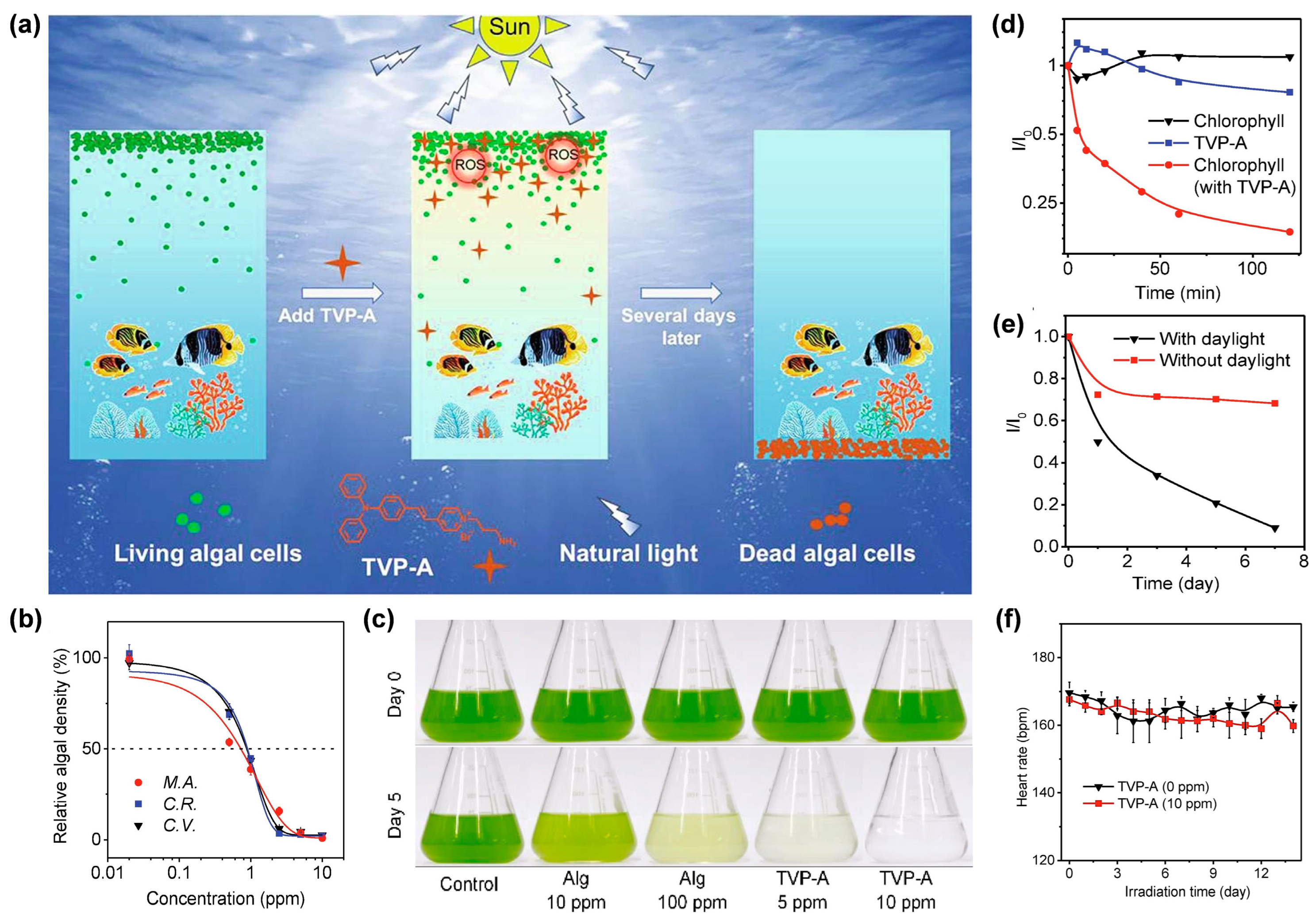 Biosensors 12 00722 g010 550
