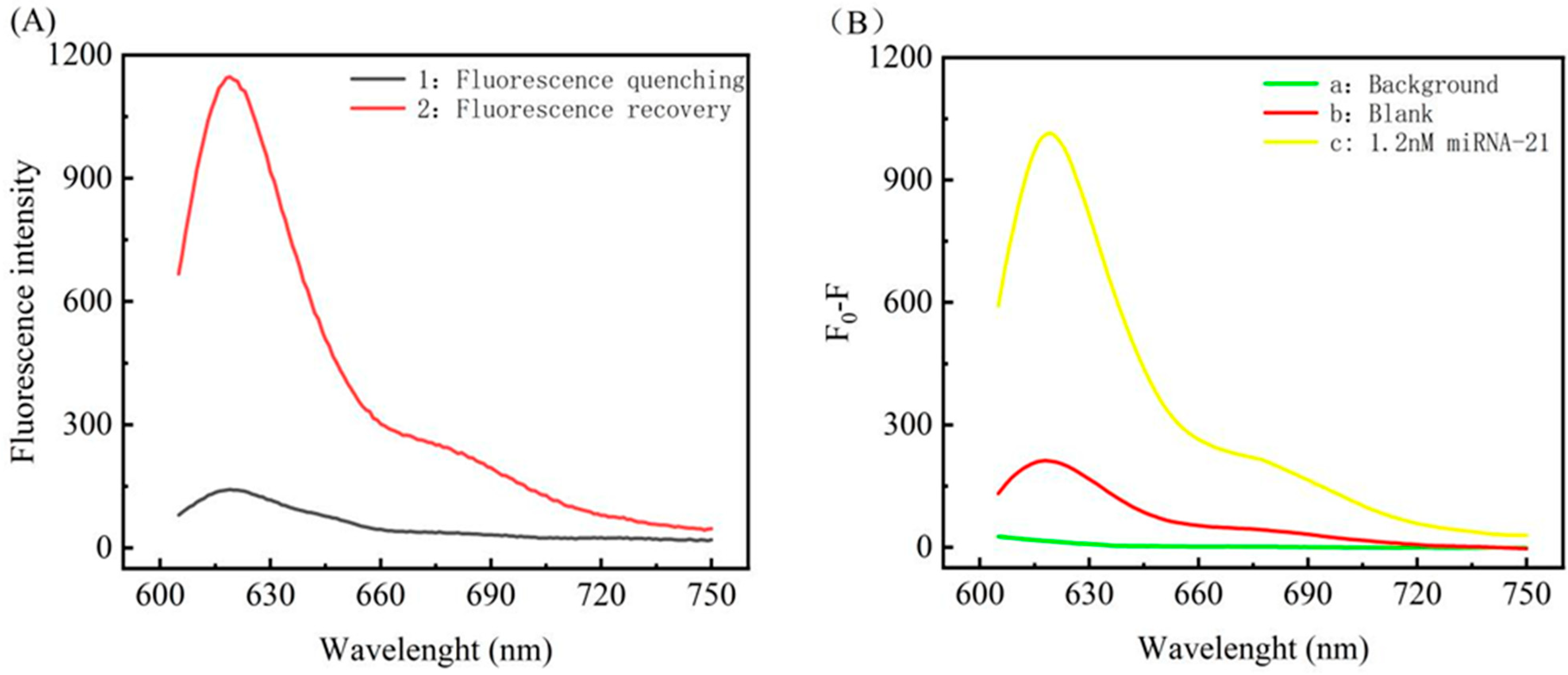 Biosensors 12 00724 g003