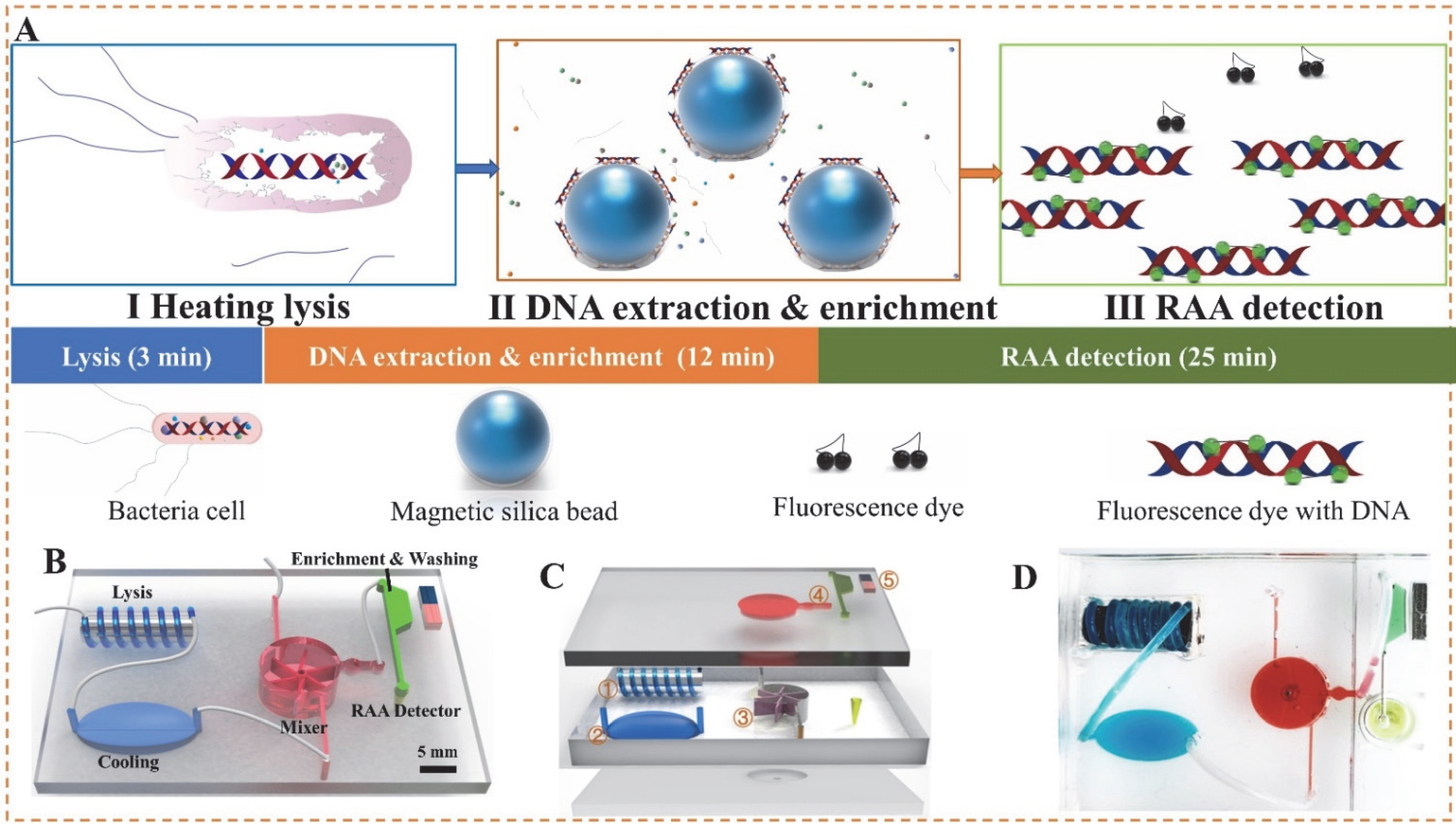 Biosensors 12 00726 g001