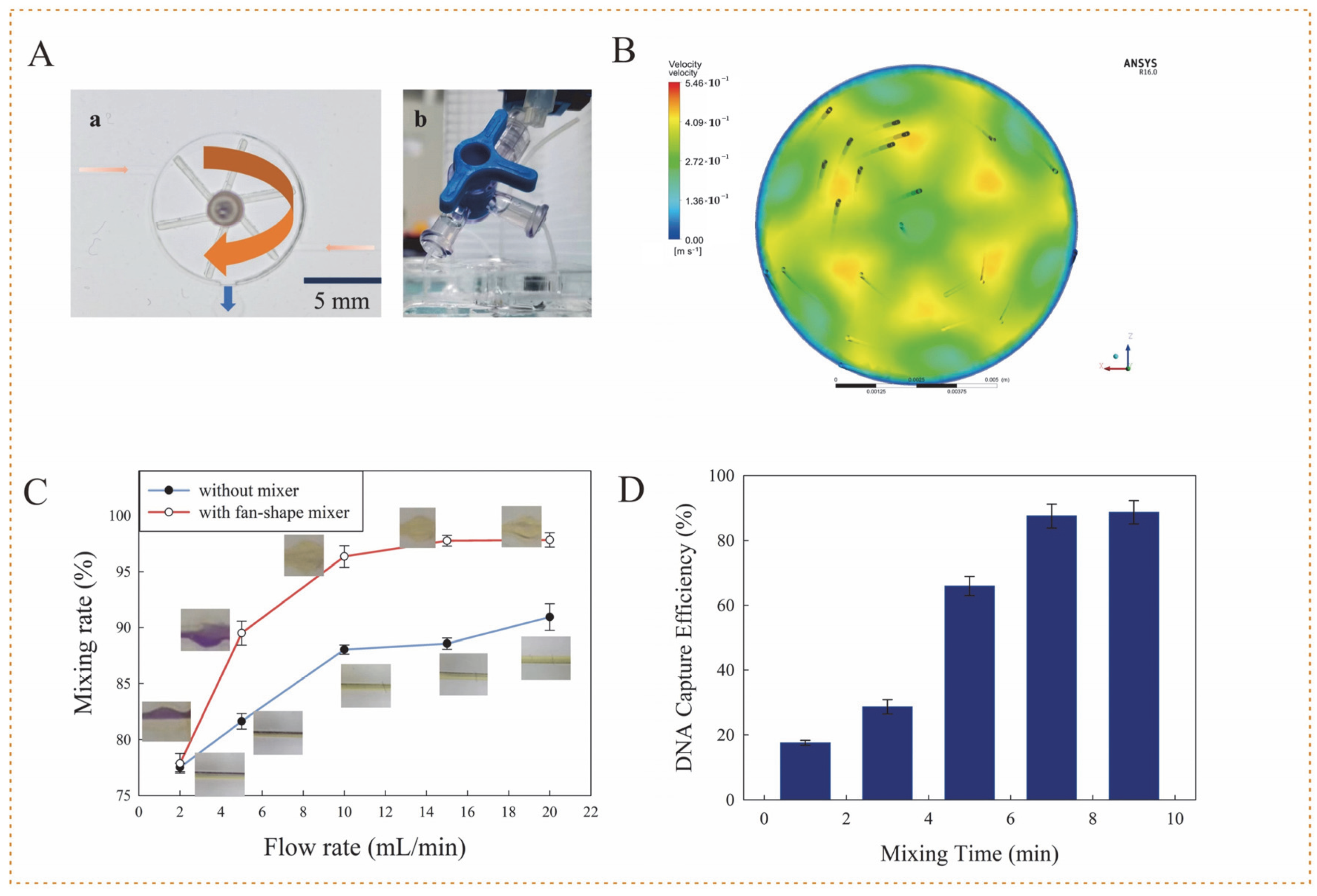 Biosensors 12 00726 g003
