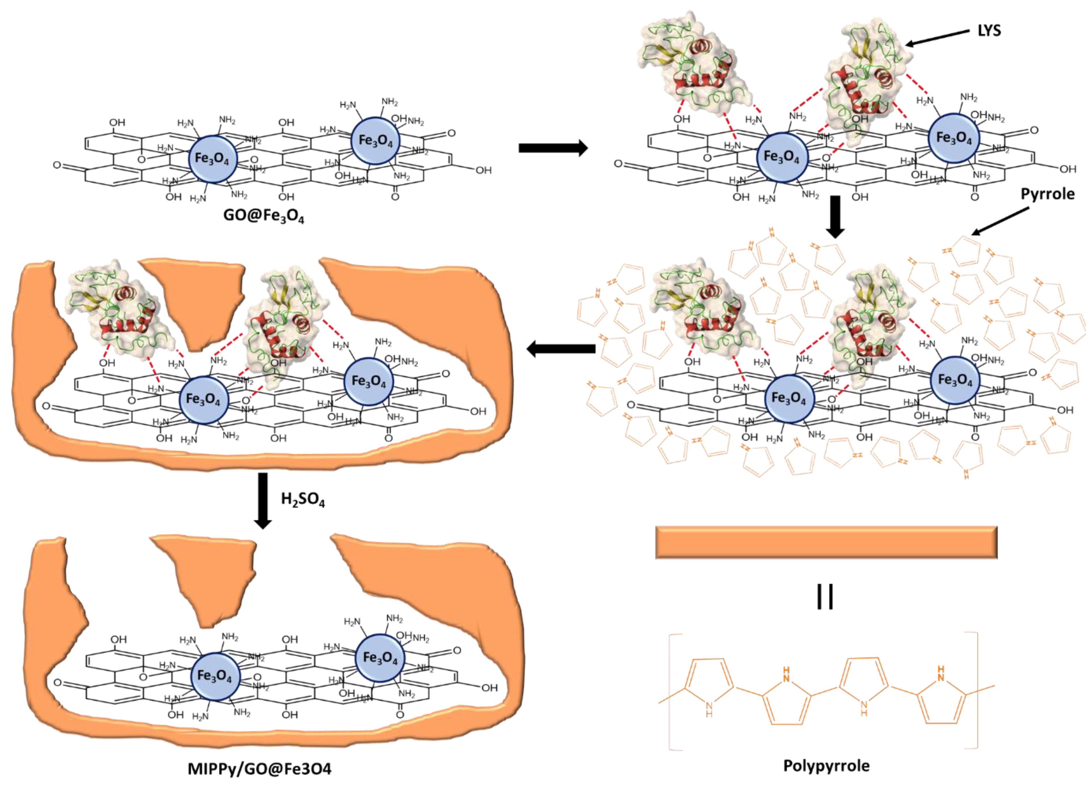 Biosensors 12 00727 g001 550