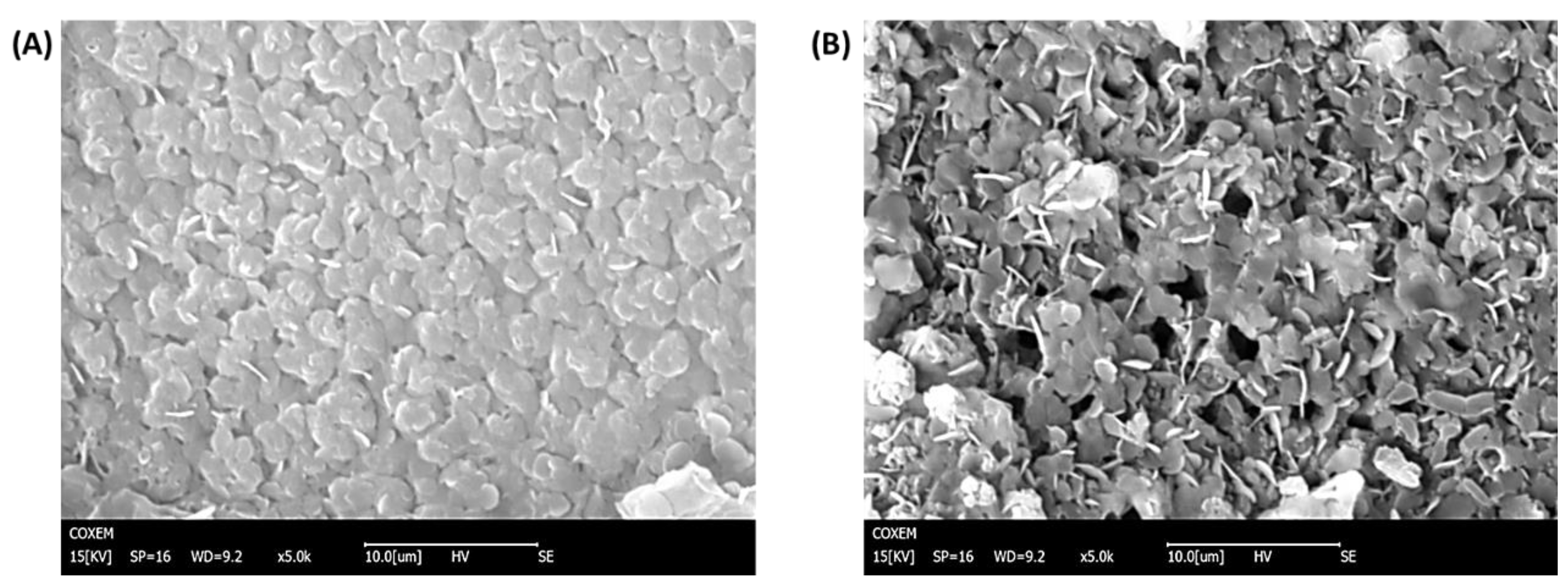 Biosensors 12 00727 g002 550