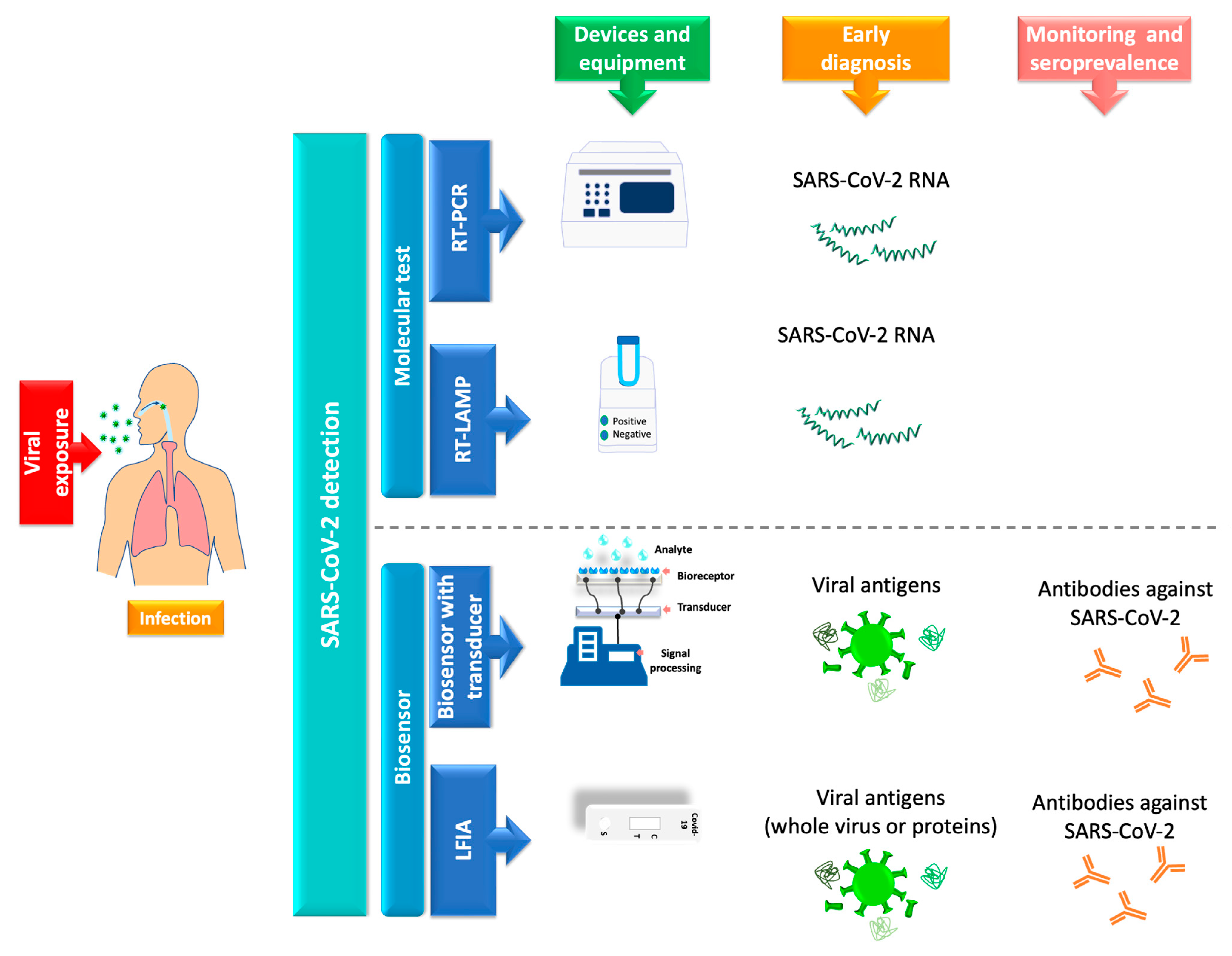 Biosensors 12 00728 g002