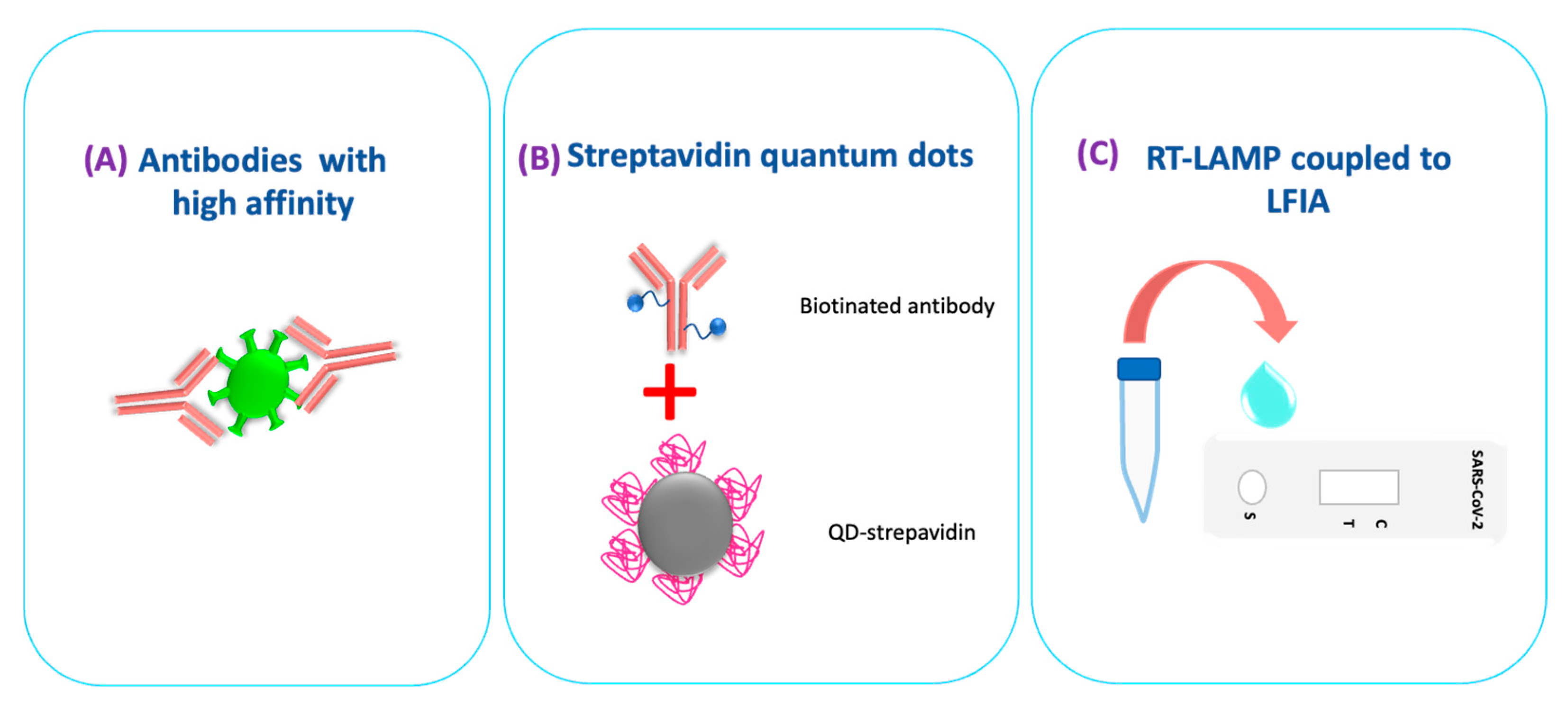 Biosensors 12 00728 g004